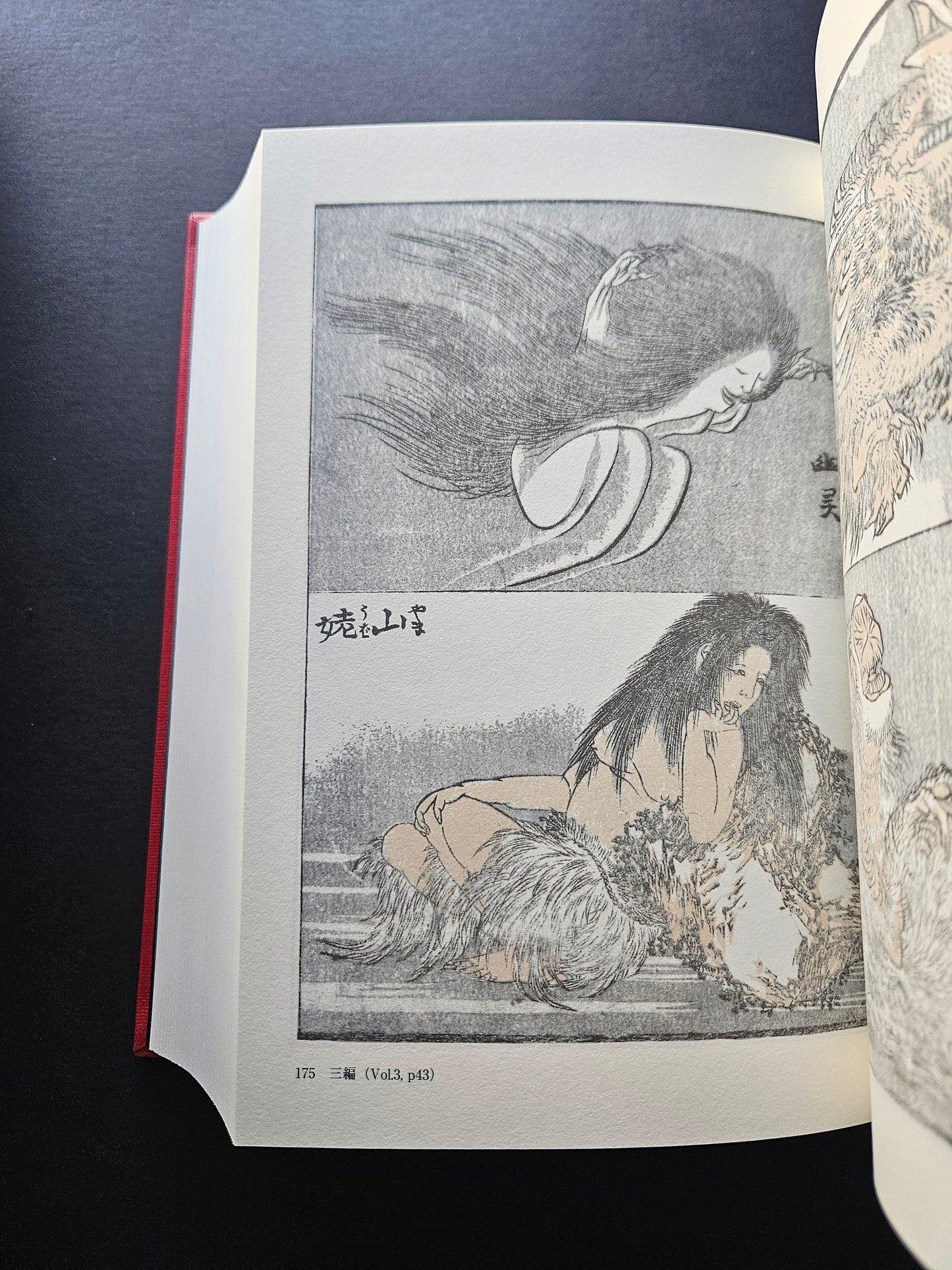 The Complete Hokusai-Manga & Sketchbook (2010)