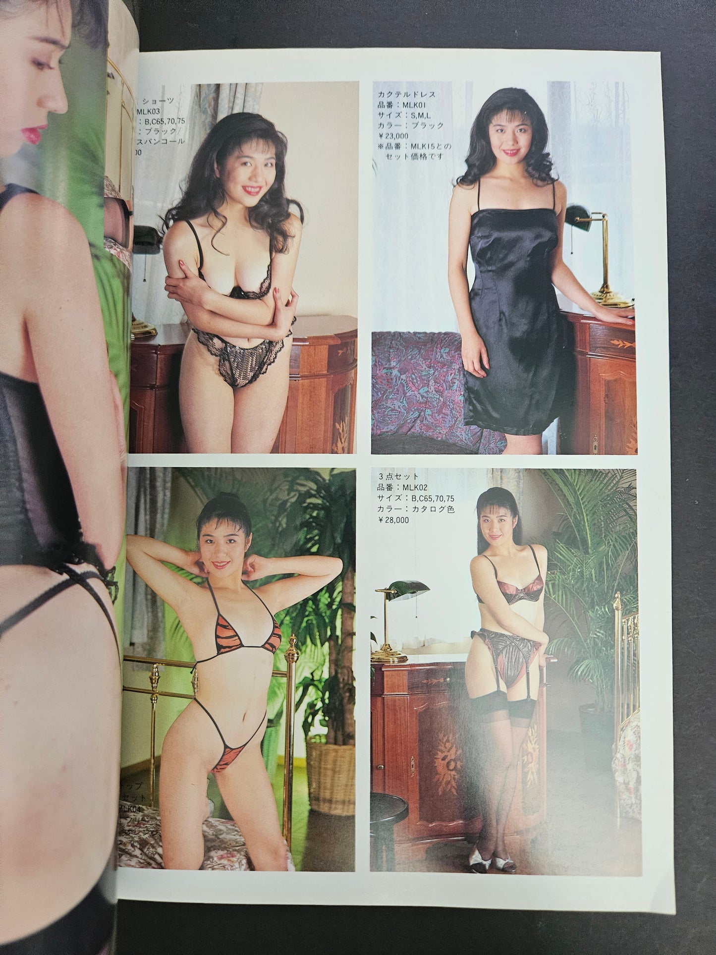 D-Cup Lingerie Photo Book (1991)