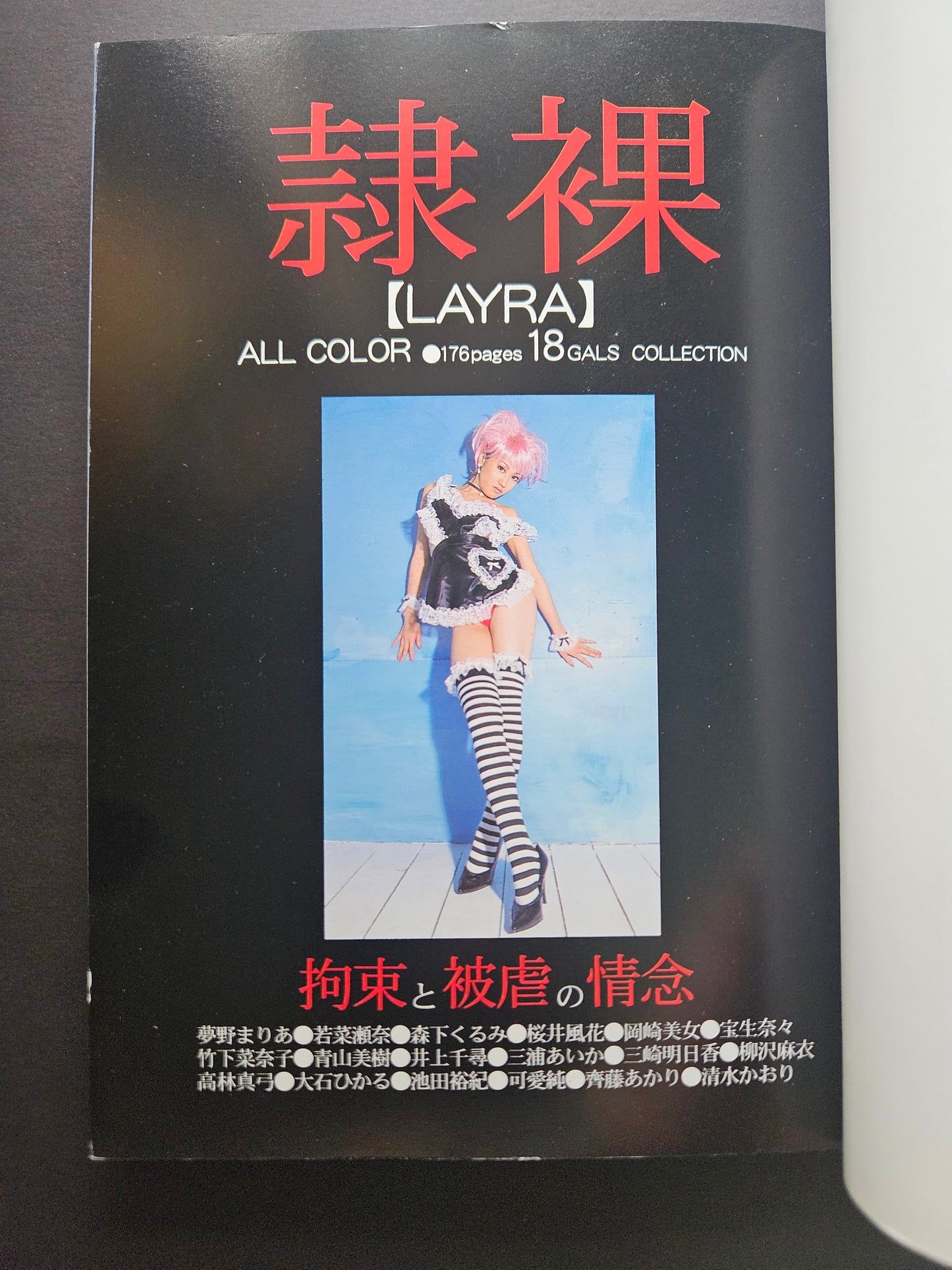 Tsukasa Mook 68 - Super Fetish Photo Museum Picture Book (2000)