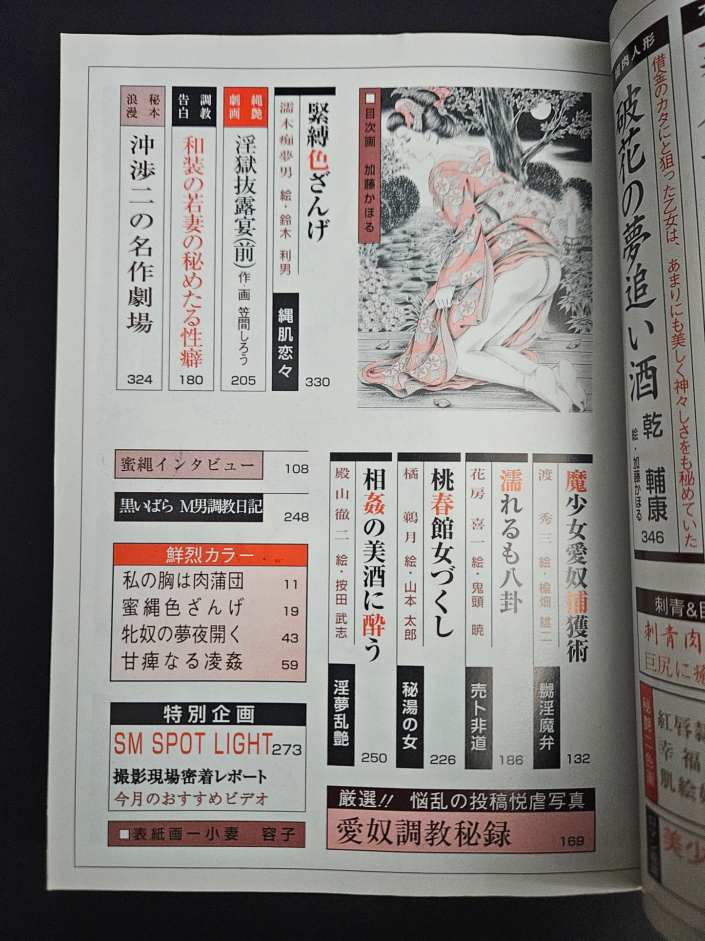 SM Secret Stories - November 2001