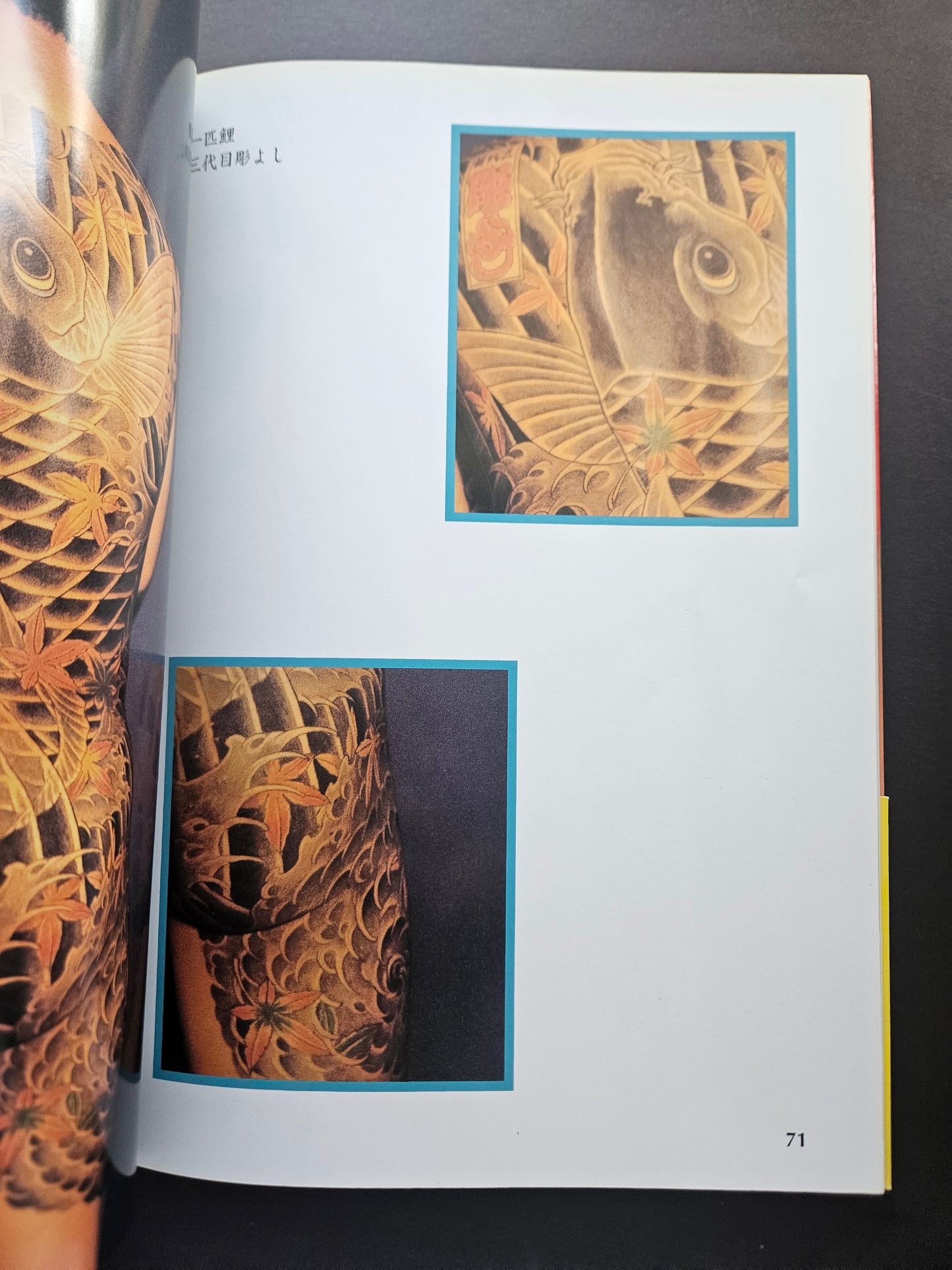 Flashin' Skin Entrance - Volume 1 (1997)