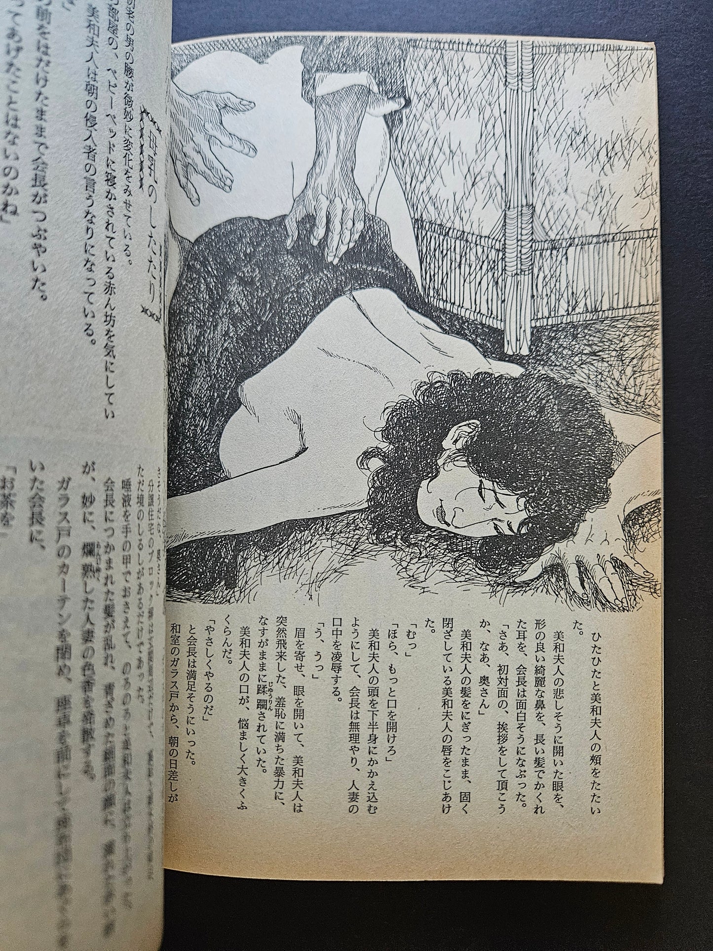 SM Secret Stories - February 1993