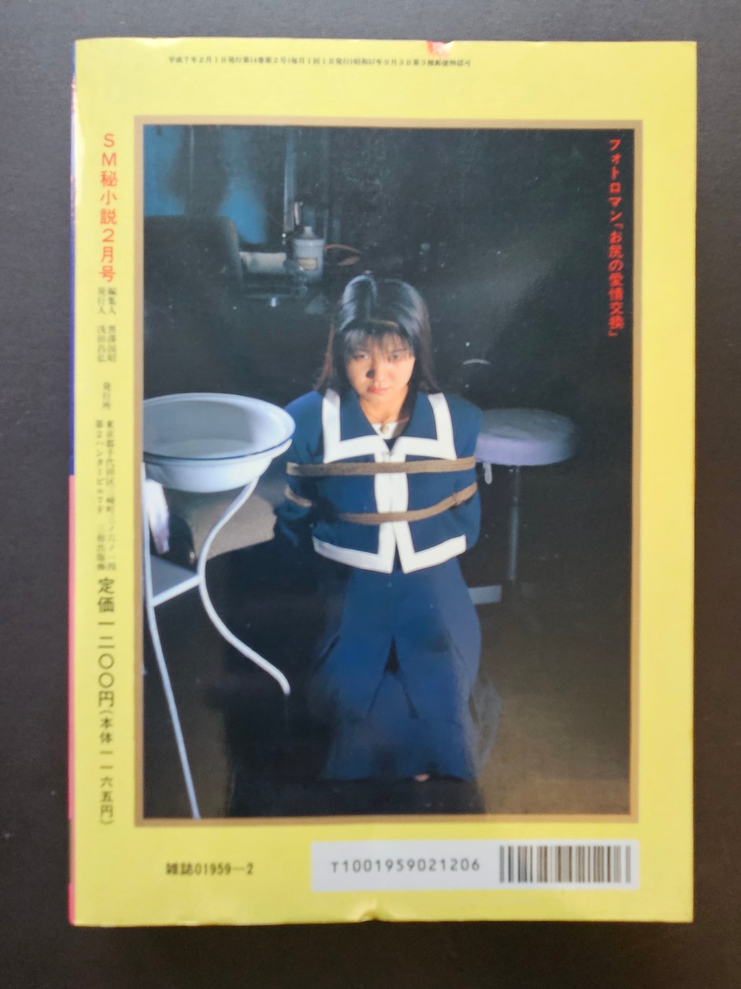 SM Secret Stories - February 1995