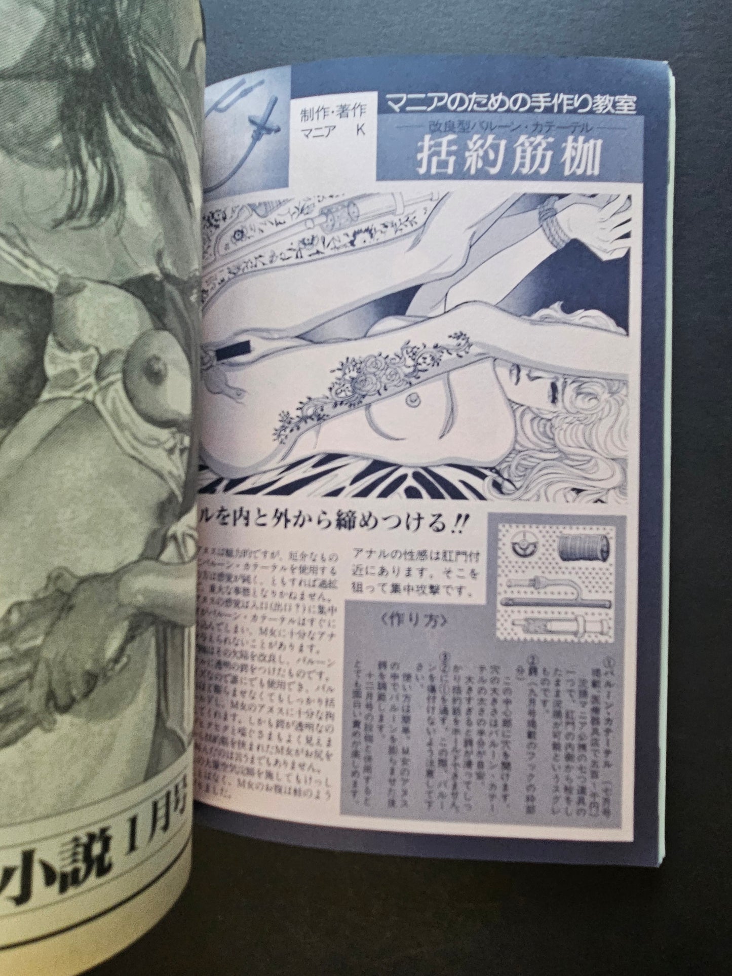 SM Secret Stories - January 1994