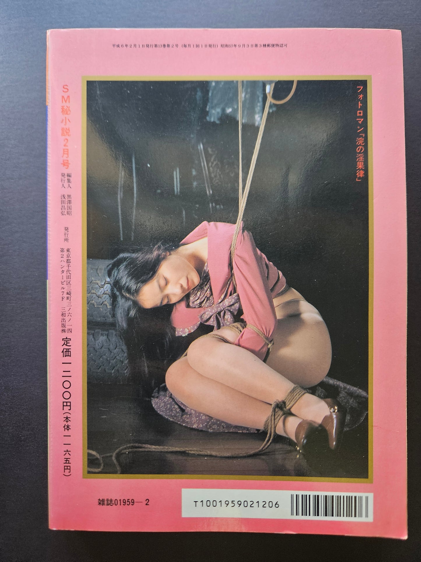 SM Secret Stories - February 1994