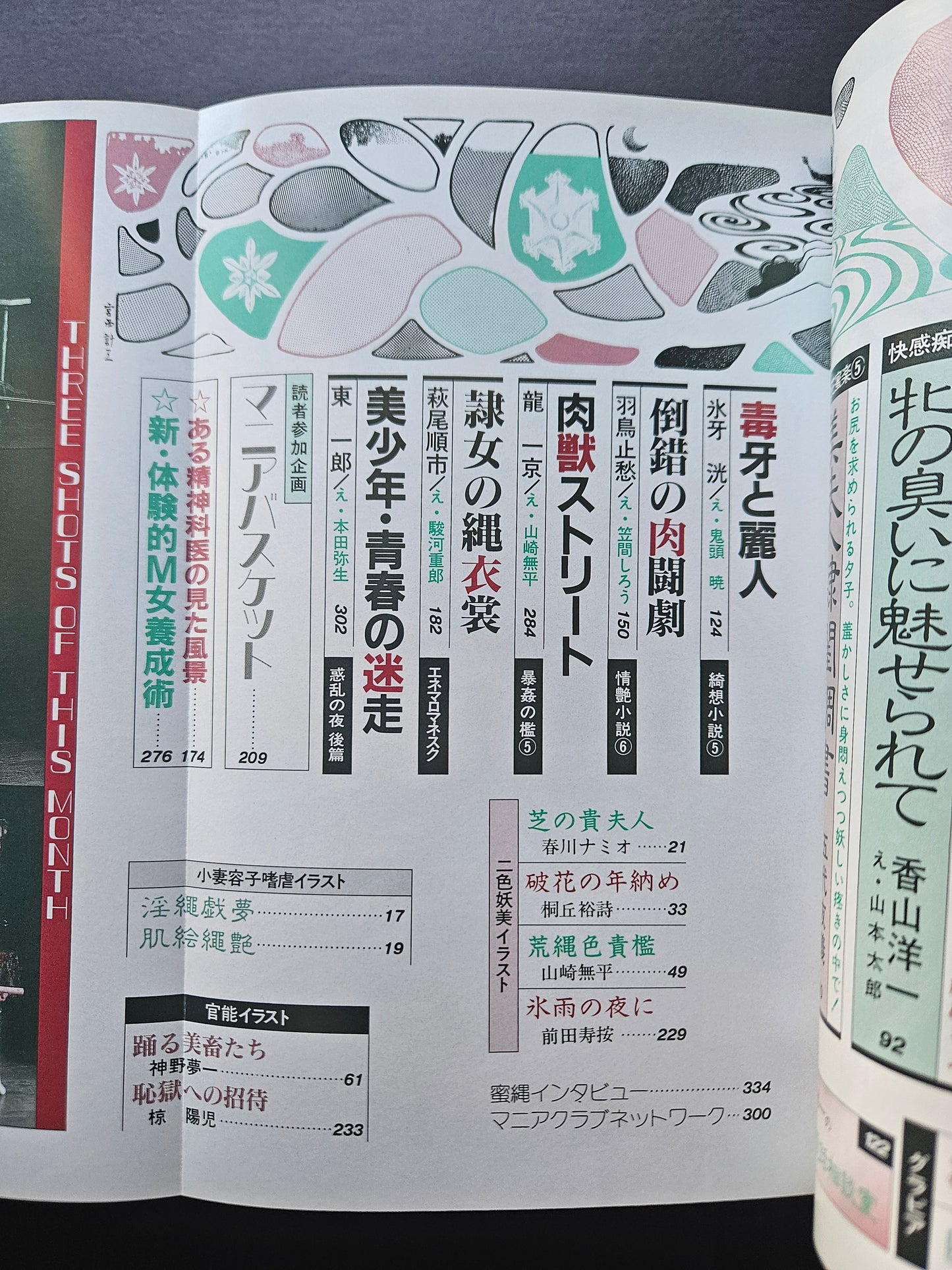 SM Secret Stories - February 1994