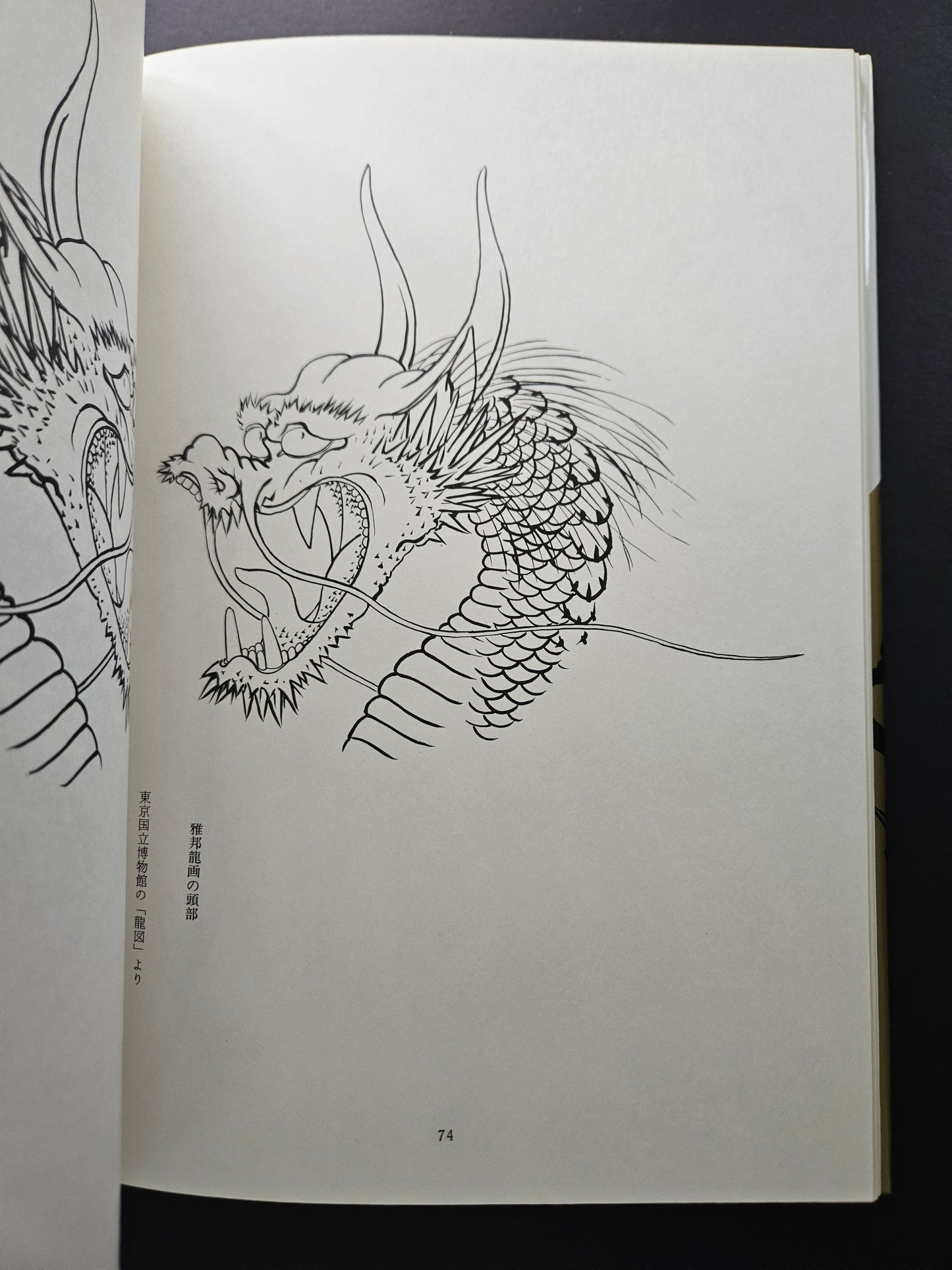 Tansai Terano - Images of 100 Dragons (1984)