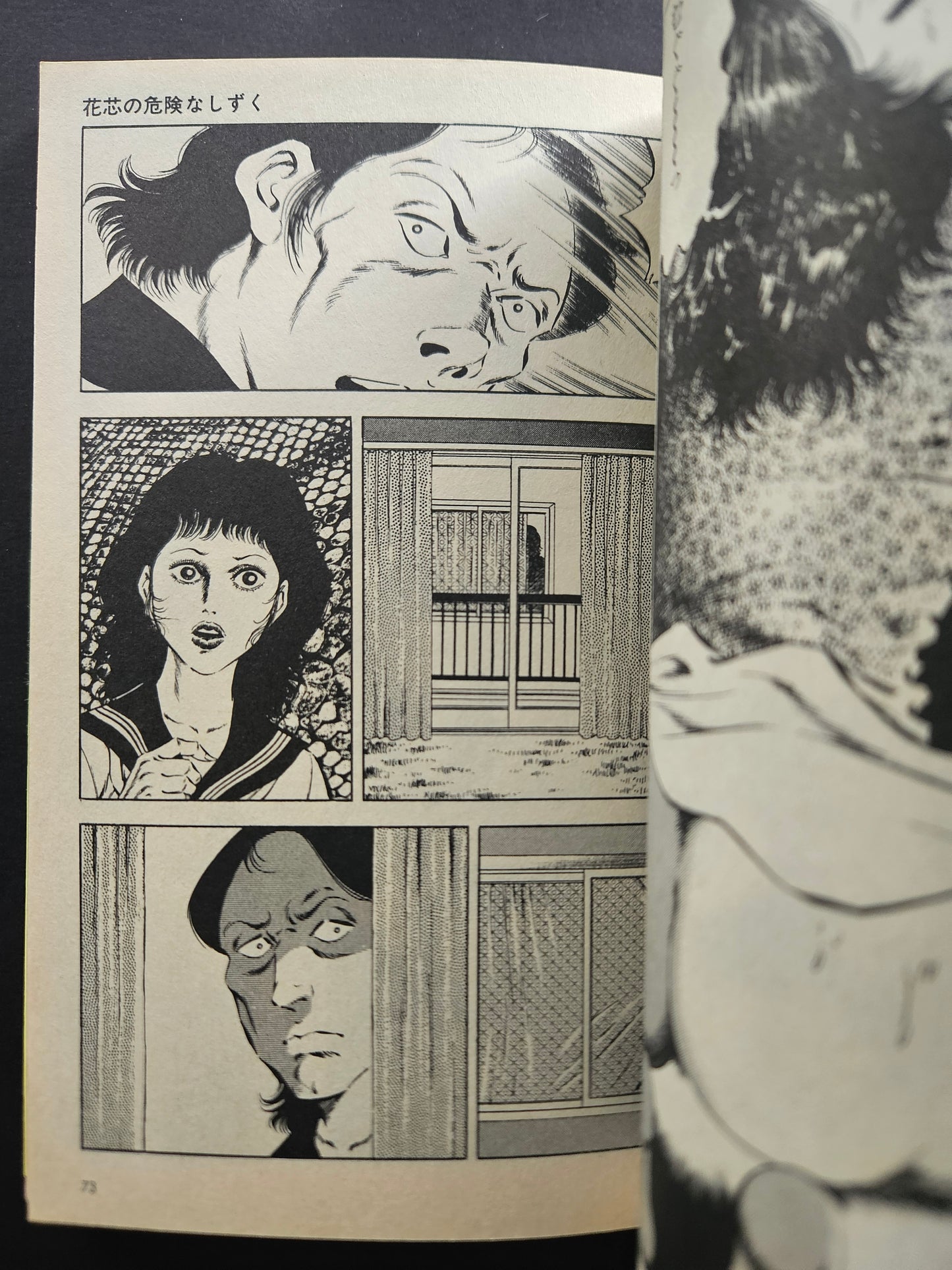 Dangerous High School Girl by Hiroki Hoshimoto (1984)