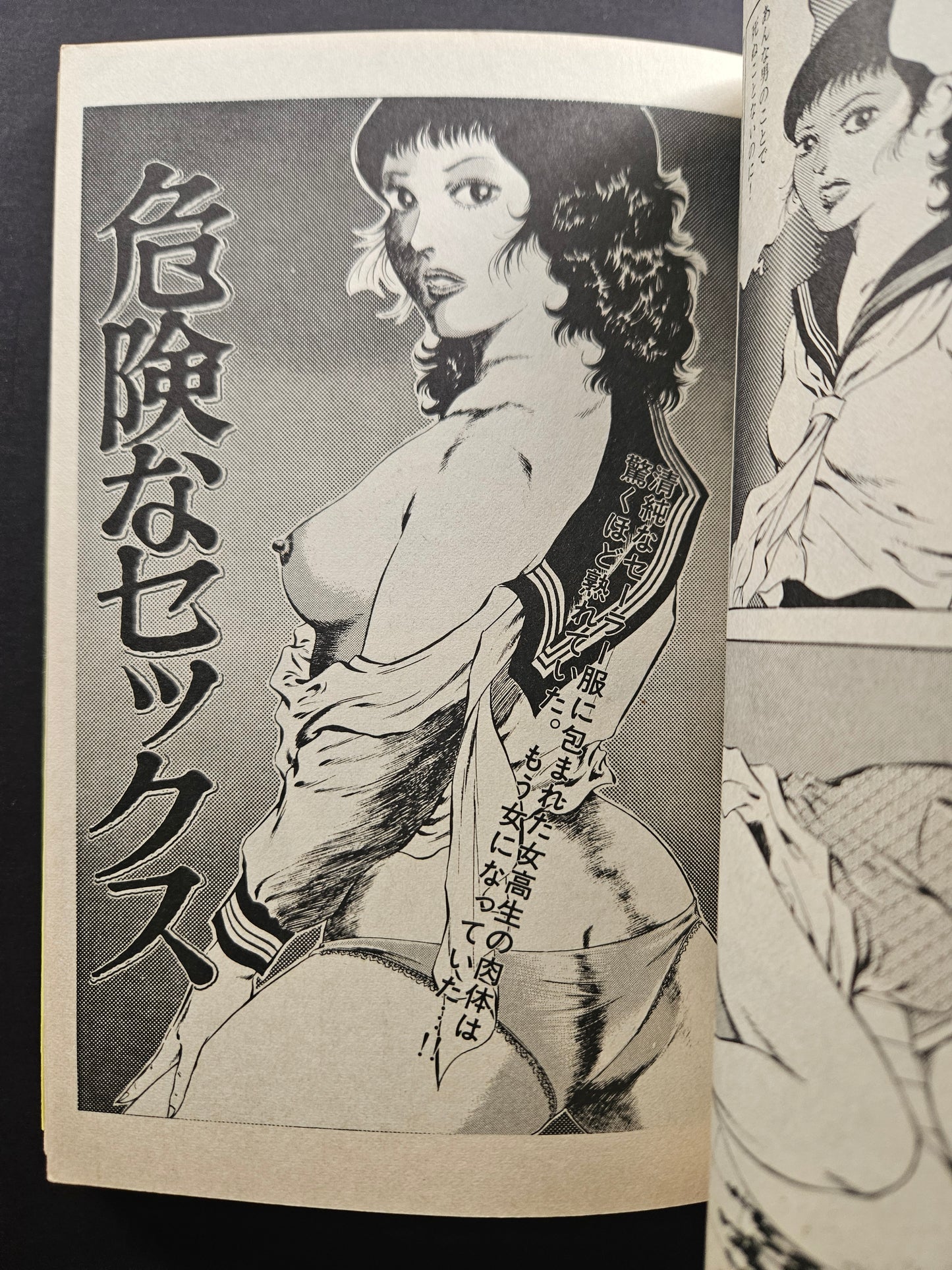 Dangerous High School Girl by Hiroki Hoshimoto (1984)