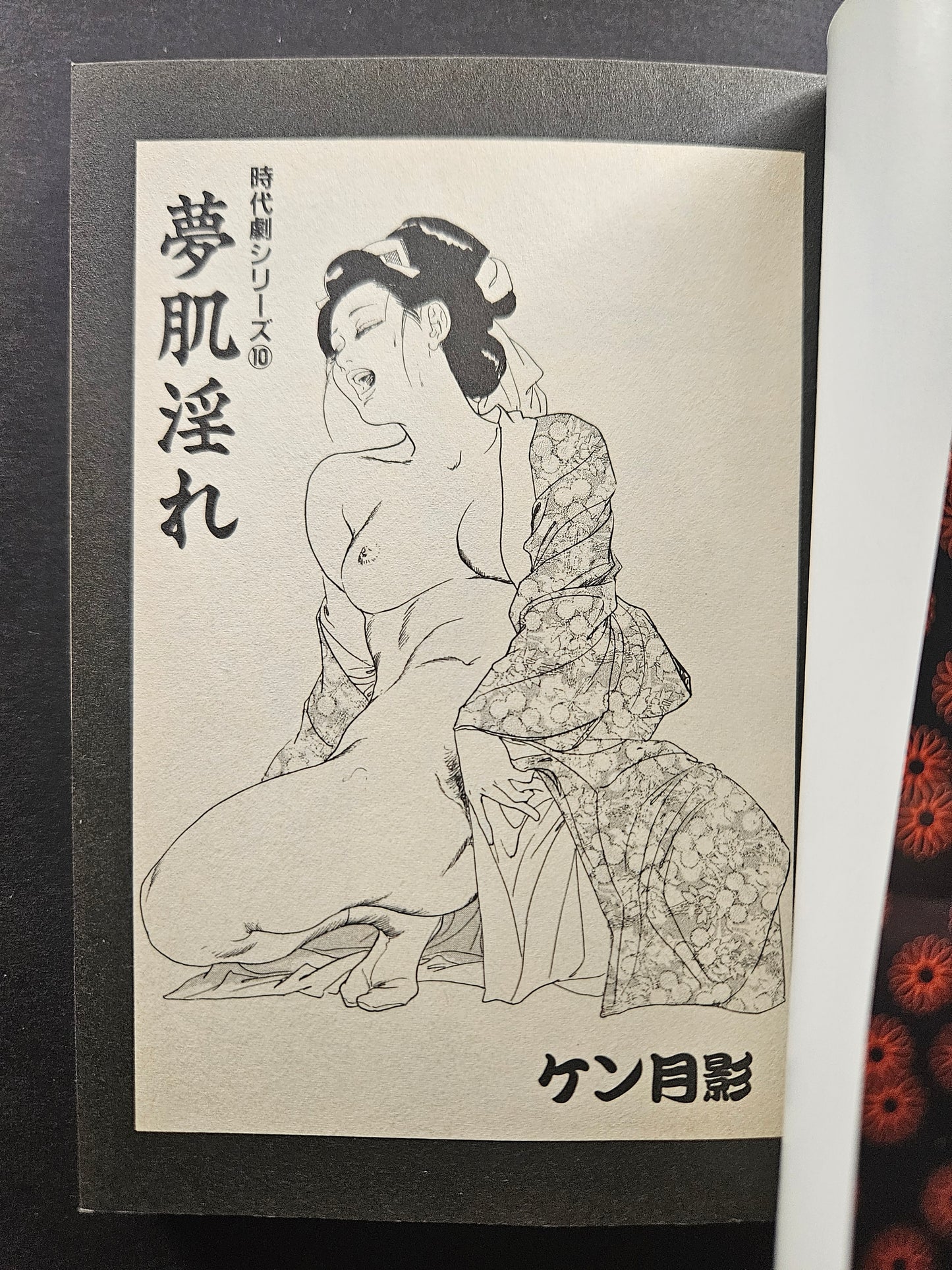 Skin Lewd Dream by Ken Tsukikage (1998)