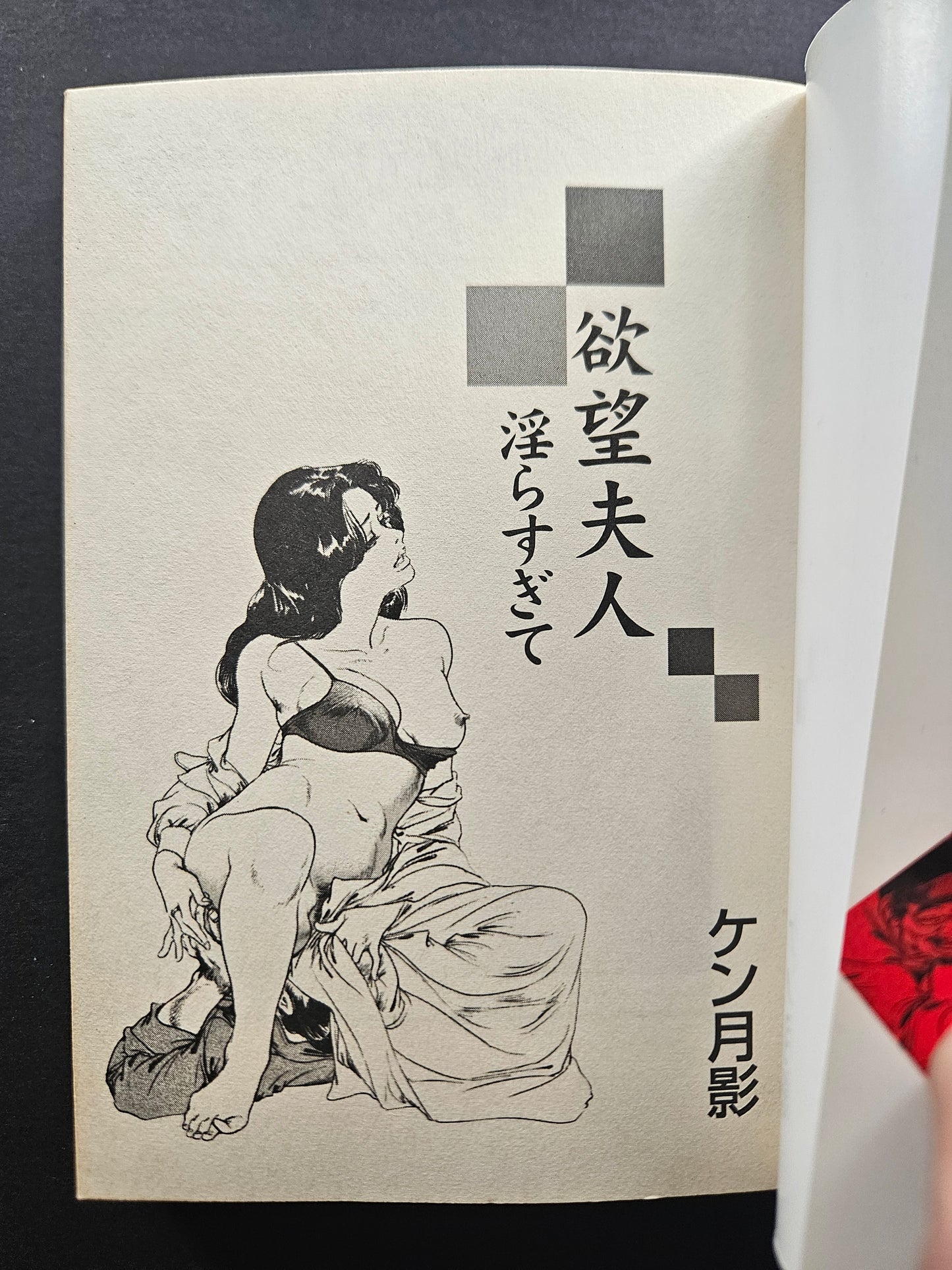 Mrs Desire - Too Lewd! by Ken Tsukikage (2000)