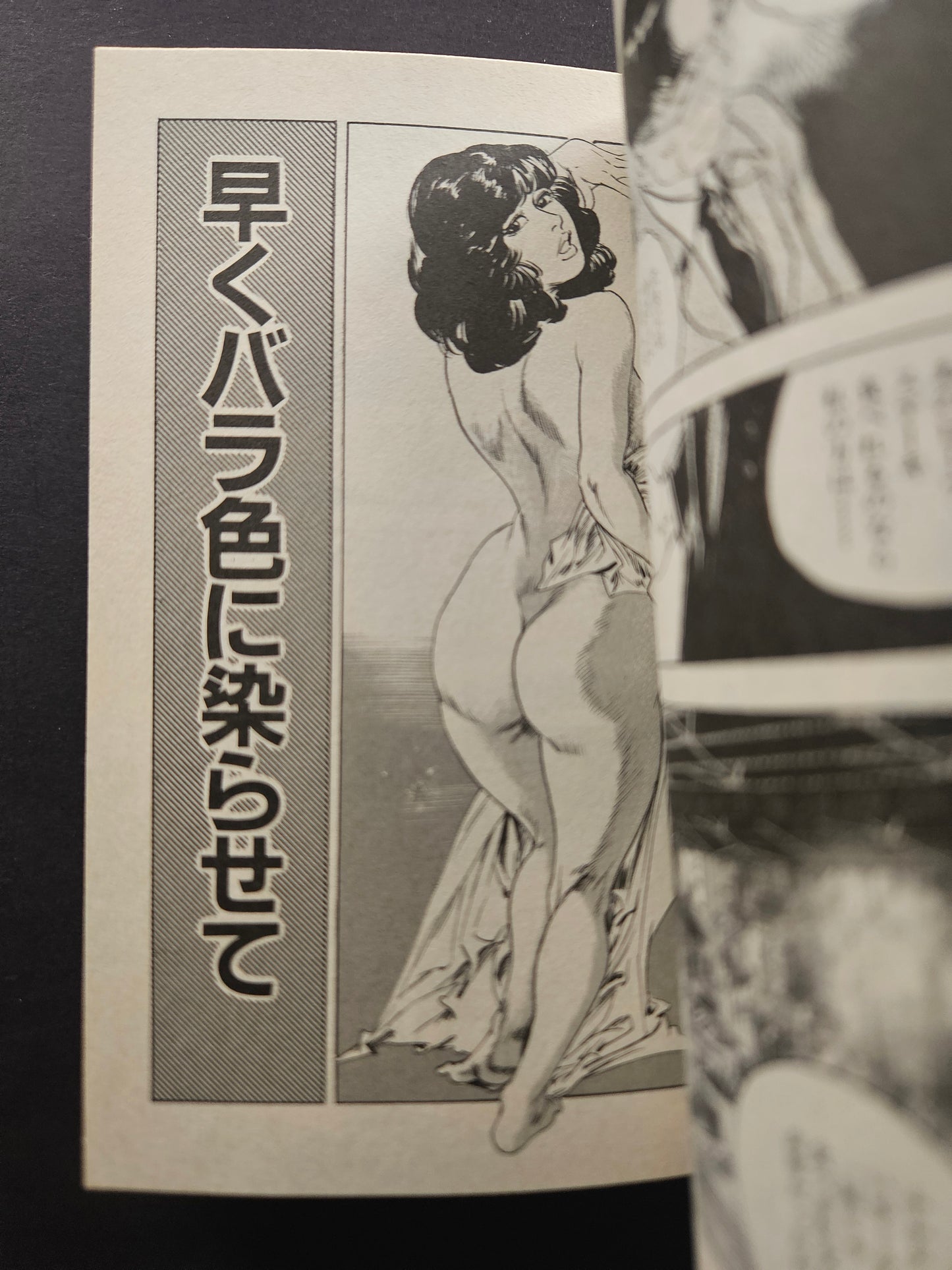 Mrs Desire - Too Lewd! by Ken Tsukikage (2000)