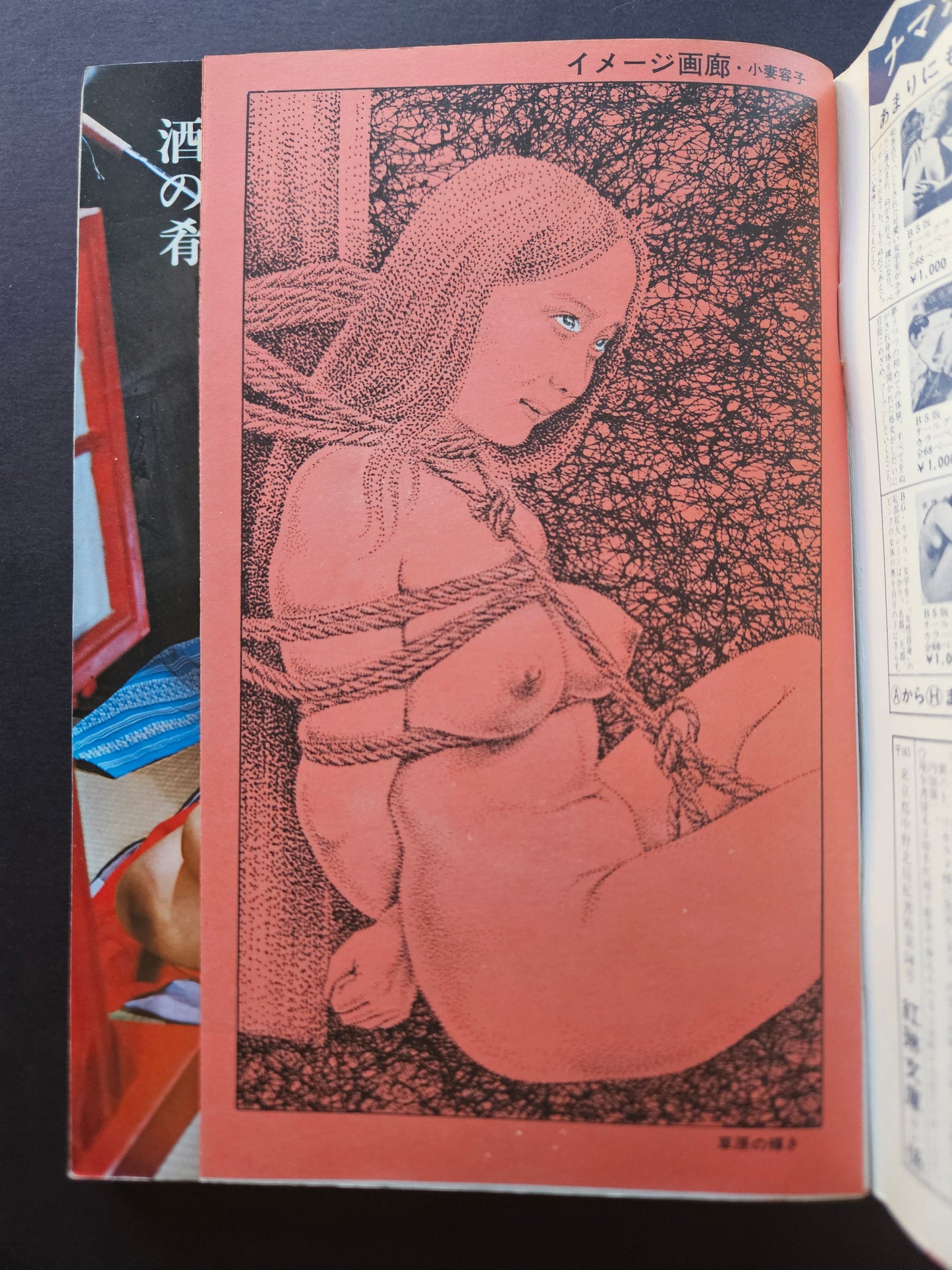 SM Collector - February 1974