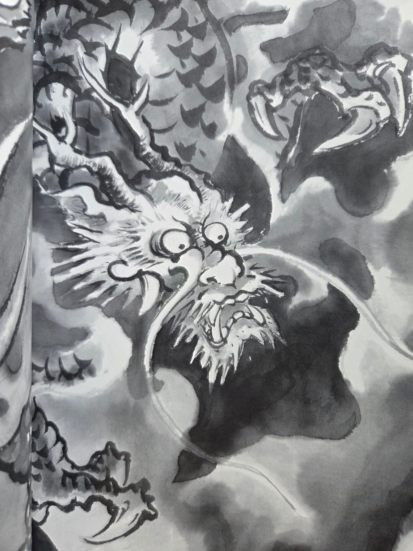 Drawing a Dragon: From Sketches To Works by Tansai Terano (1999)