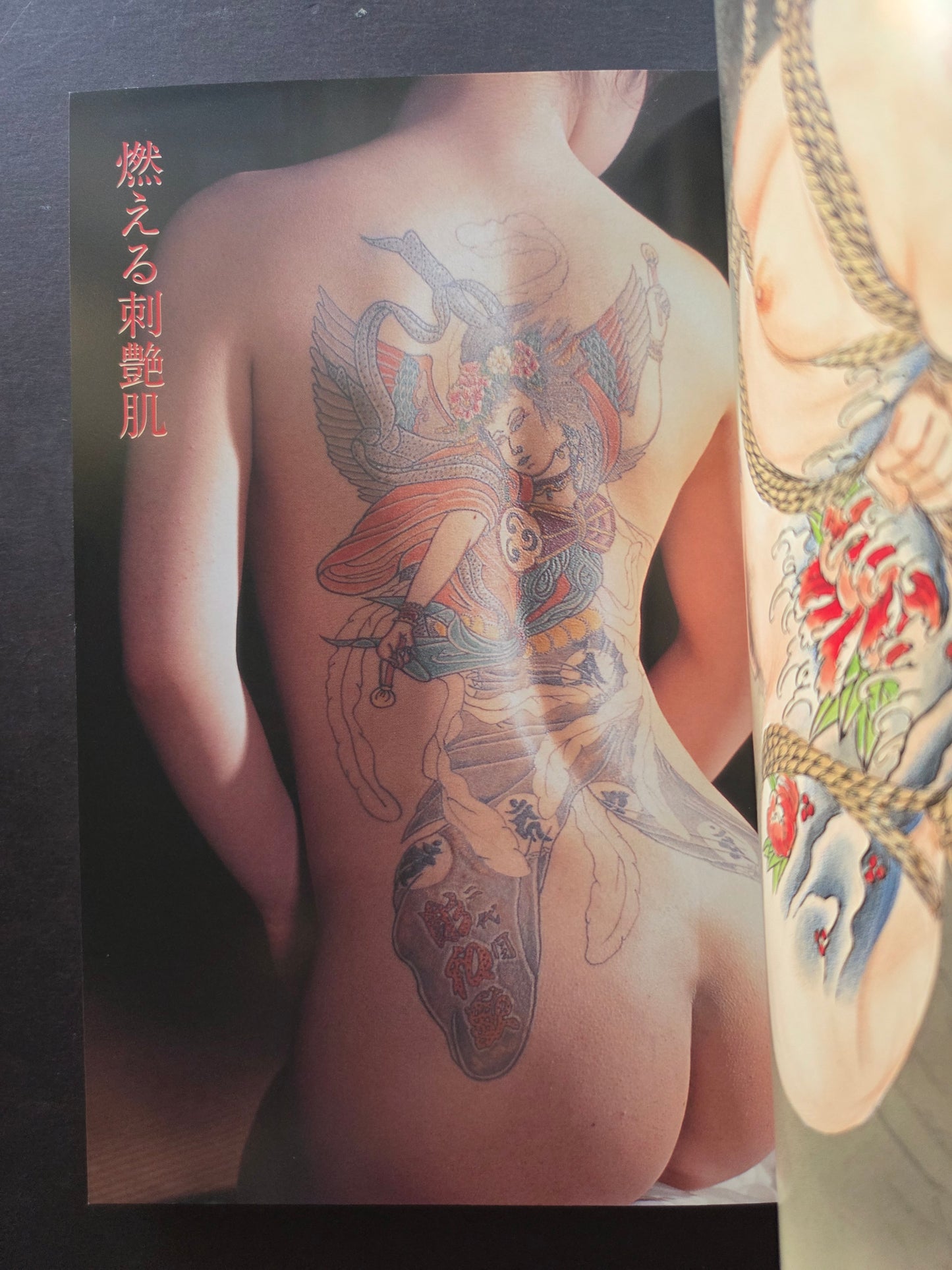 Tattooing & Piercing Eroticism (2011)