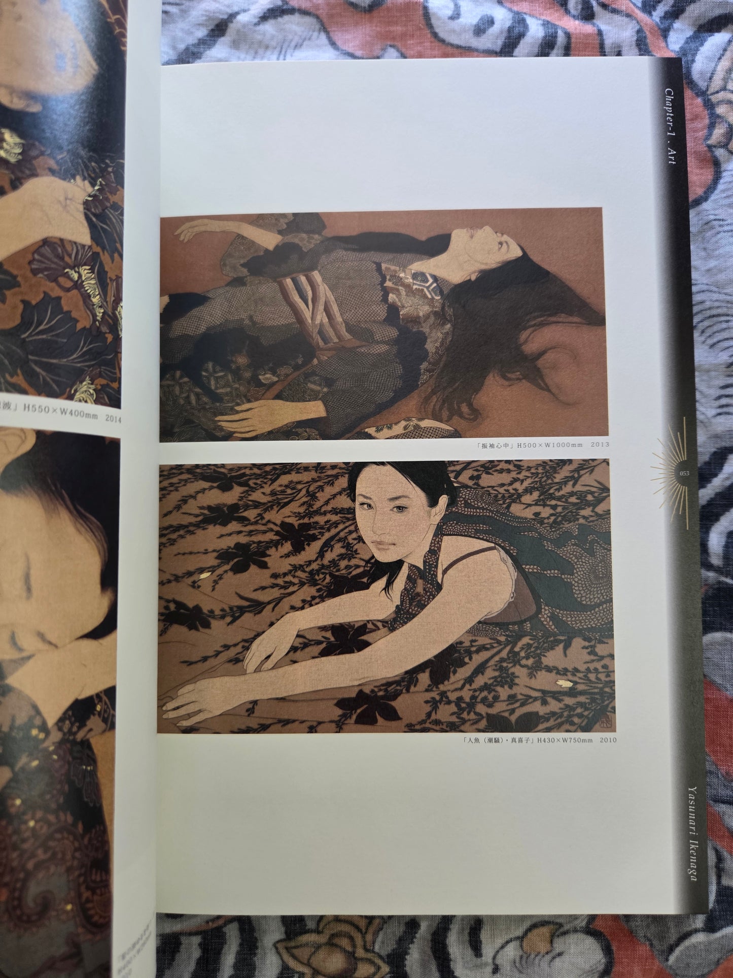 Japanese Erotica in Contemporary Art (2014)