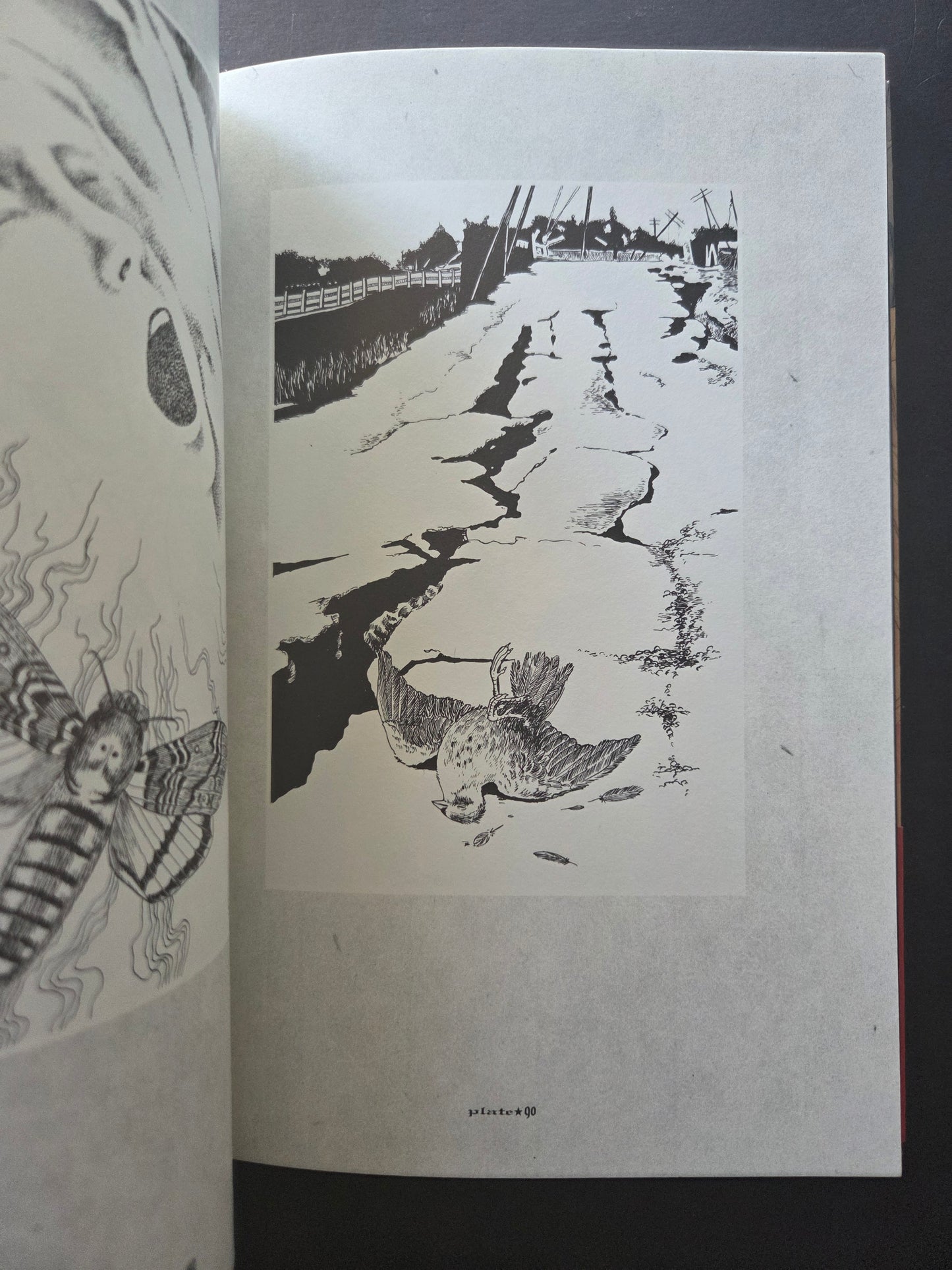 Maruo Graph DX II by Suehiro Maruo (2013)