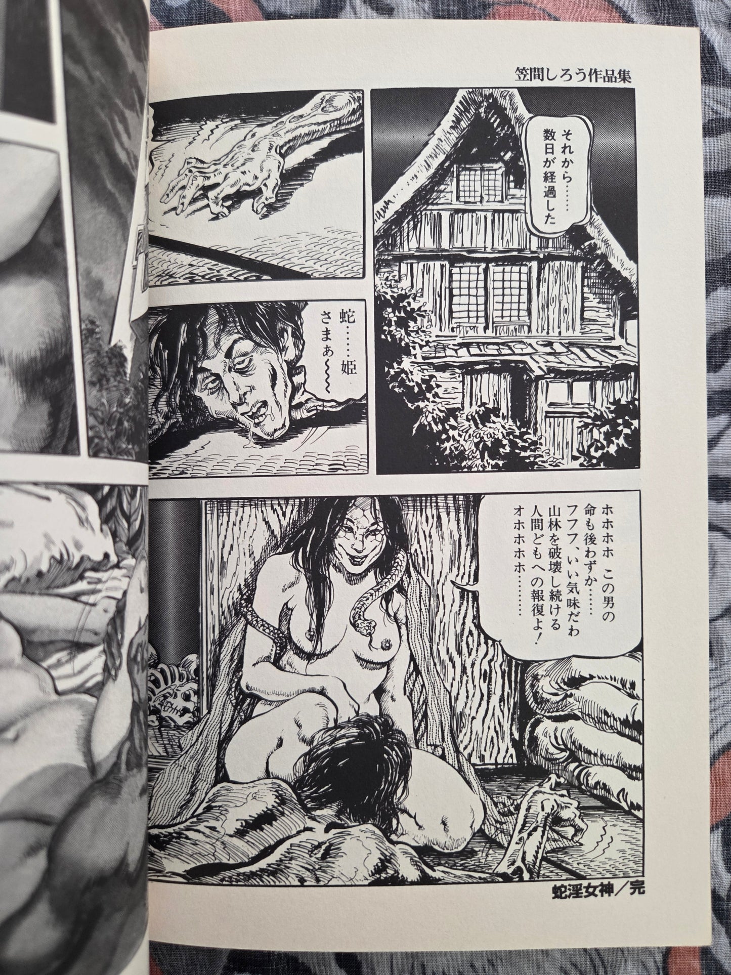 The Lady of Lewdness - Shiro Kasama's Third Collection of Works (1999)