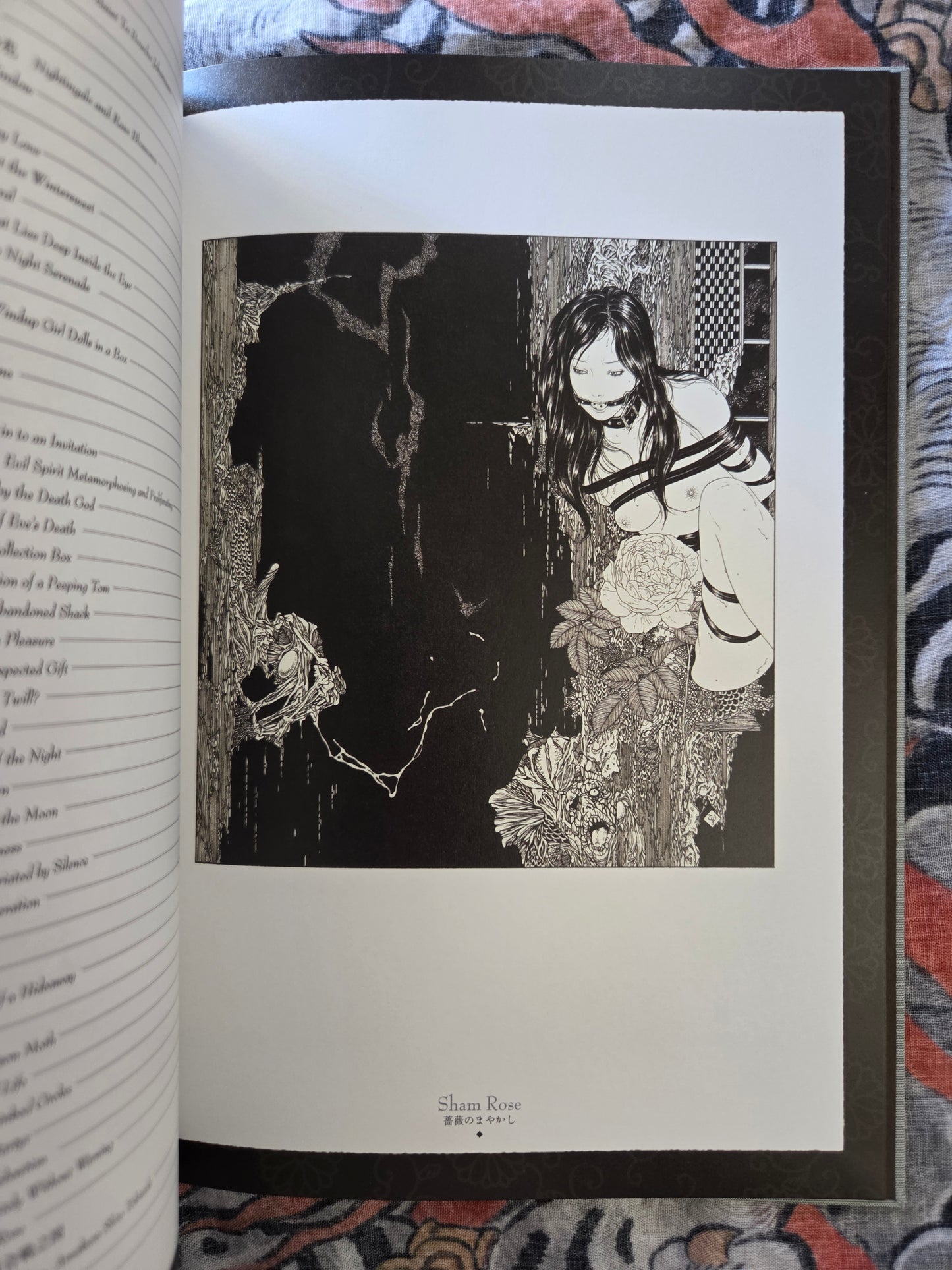 Divertimento For A Martyr by Takato Yamamoto SIGNED (2023)