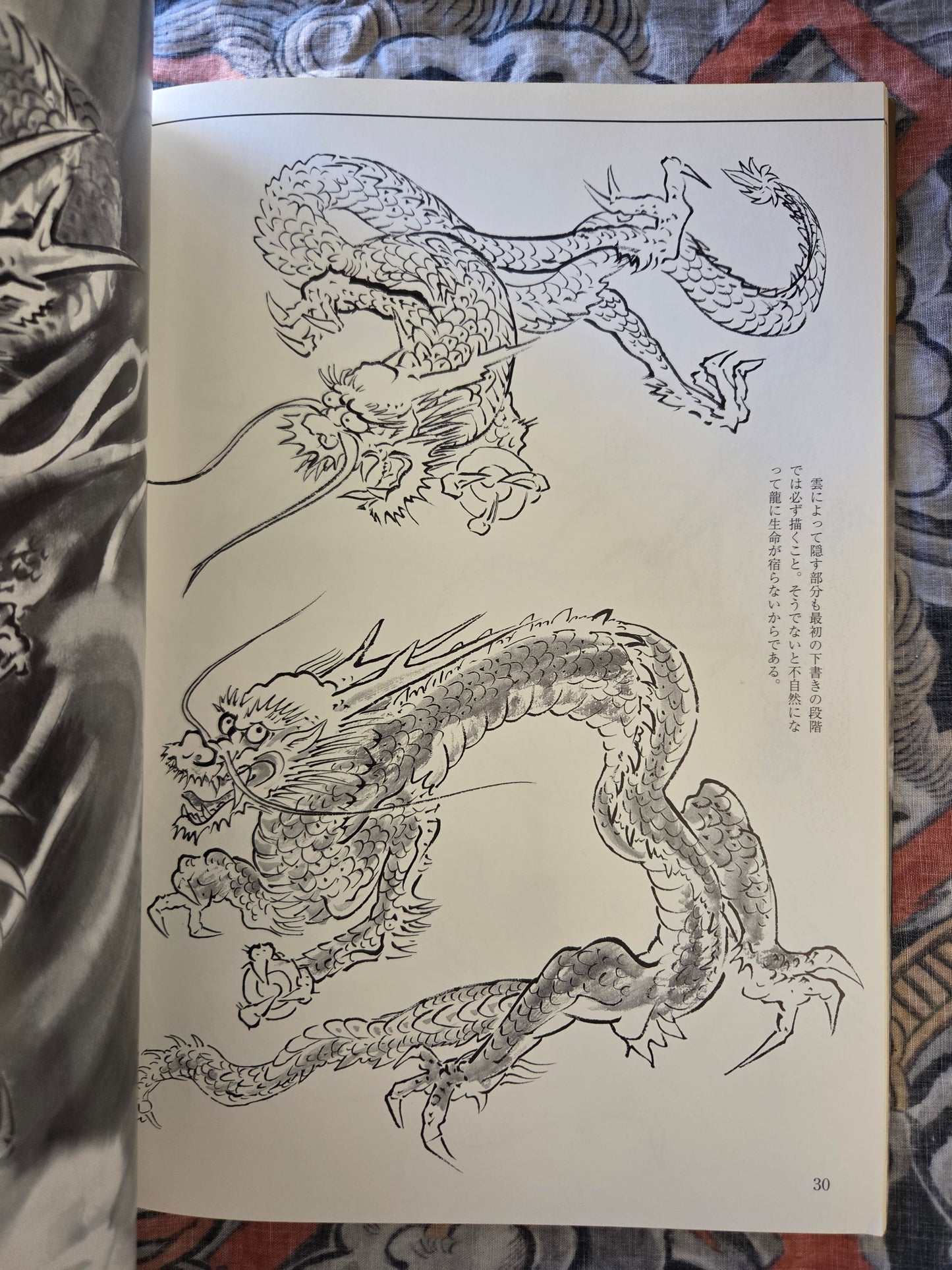 How To Draw A Dragon - Yamada Gyokūn (2004)