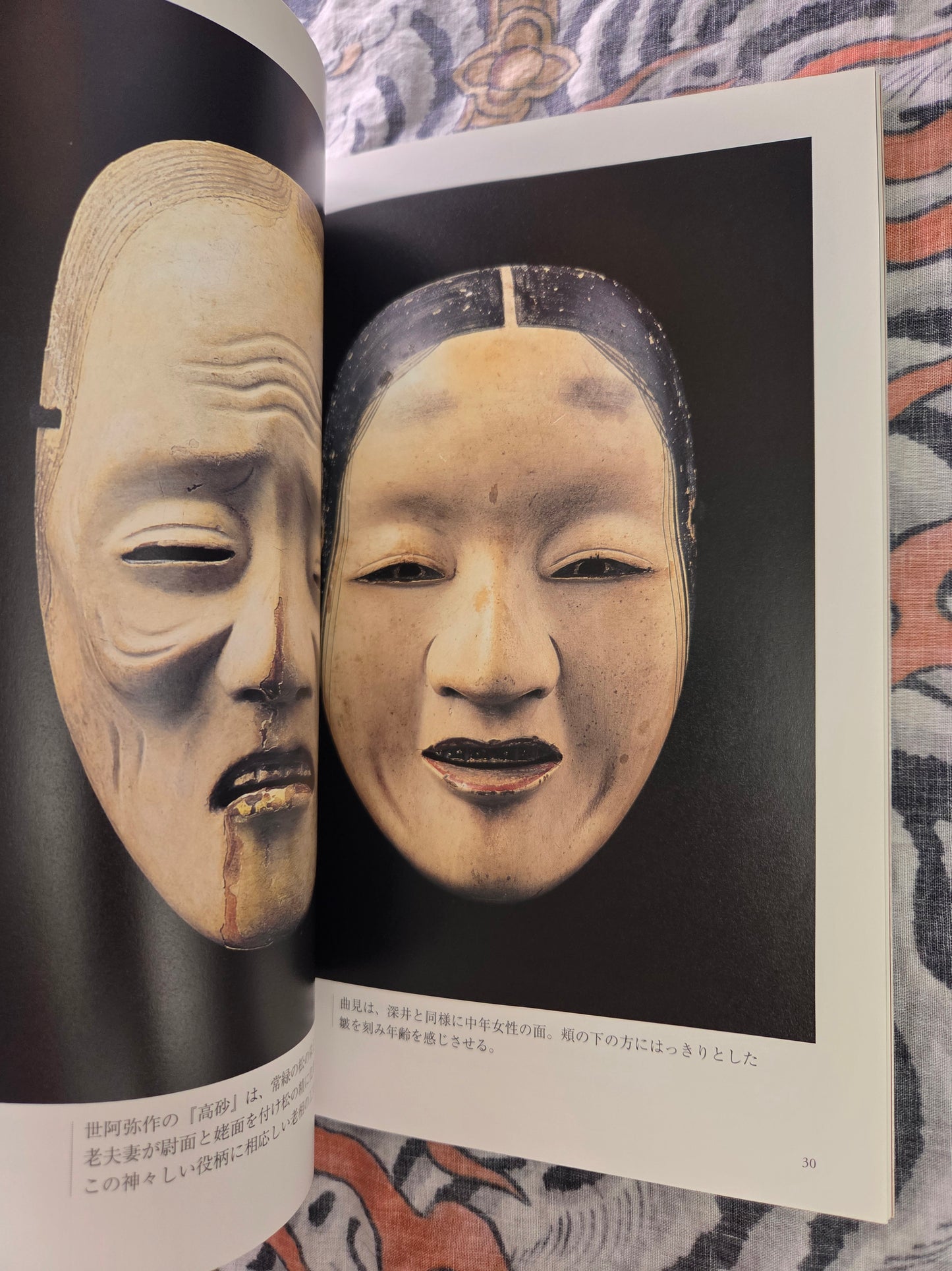Noh Mask of Negoro-ji Temple (2002)