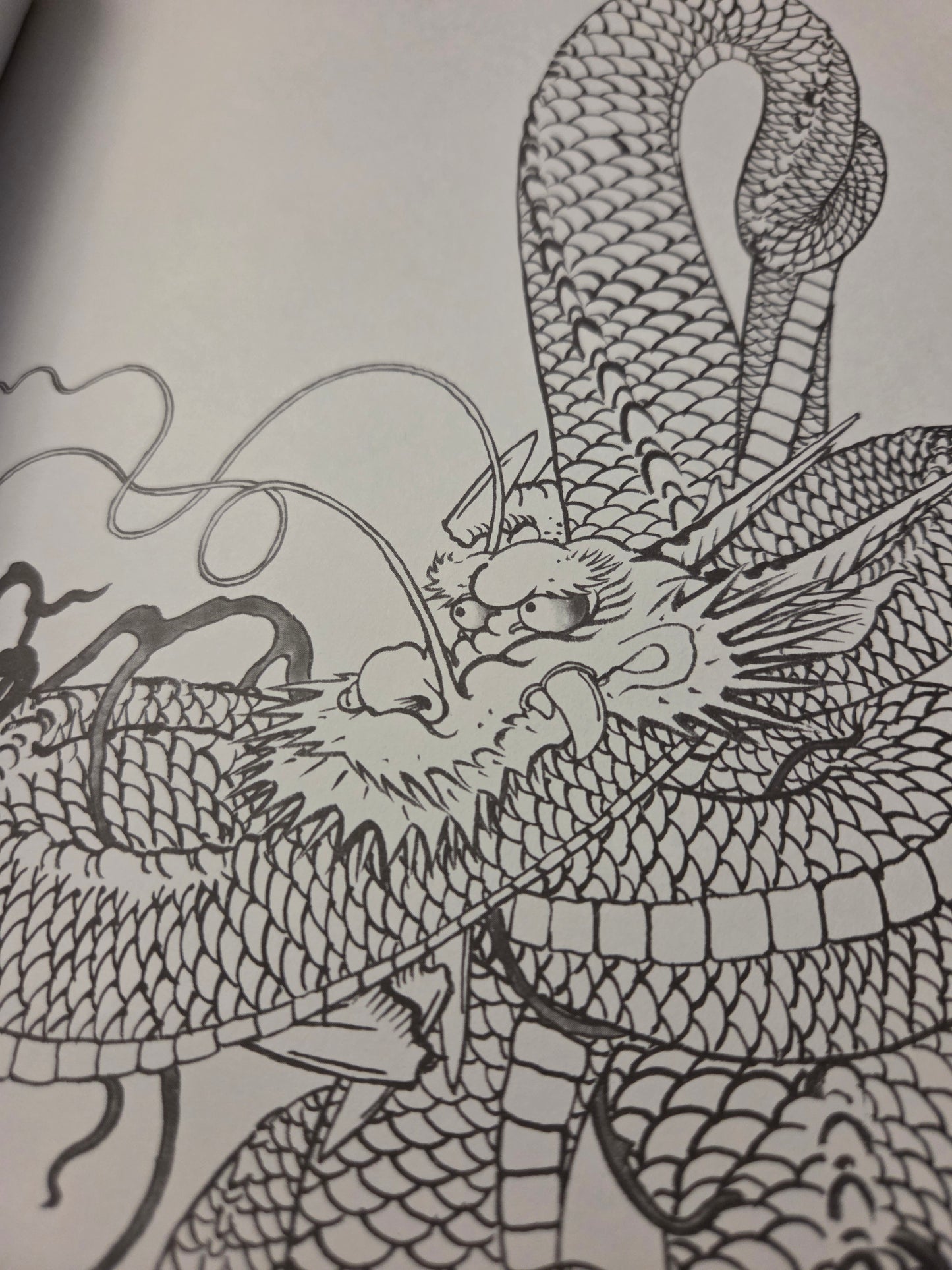 How To Draw A Dragon - Tansai Terano (1998)