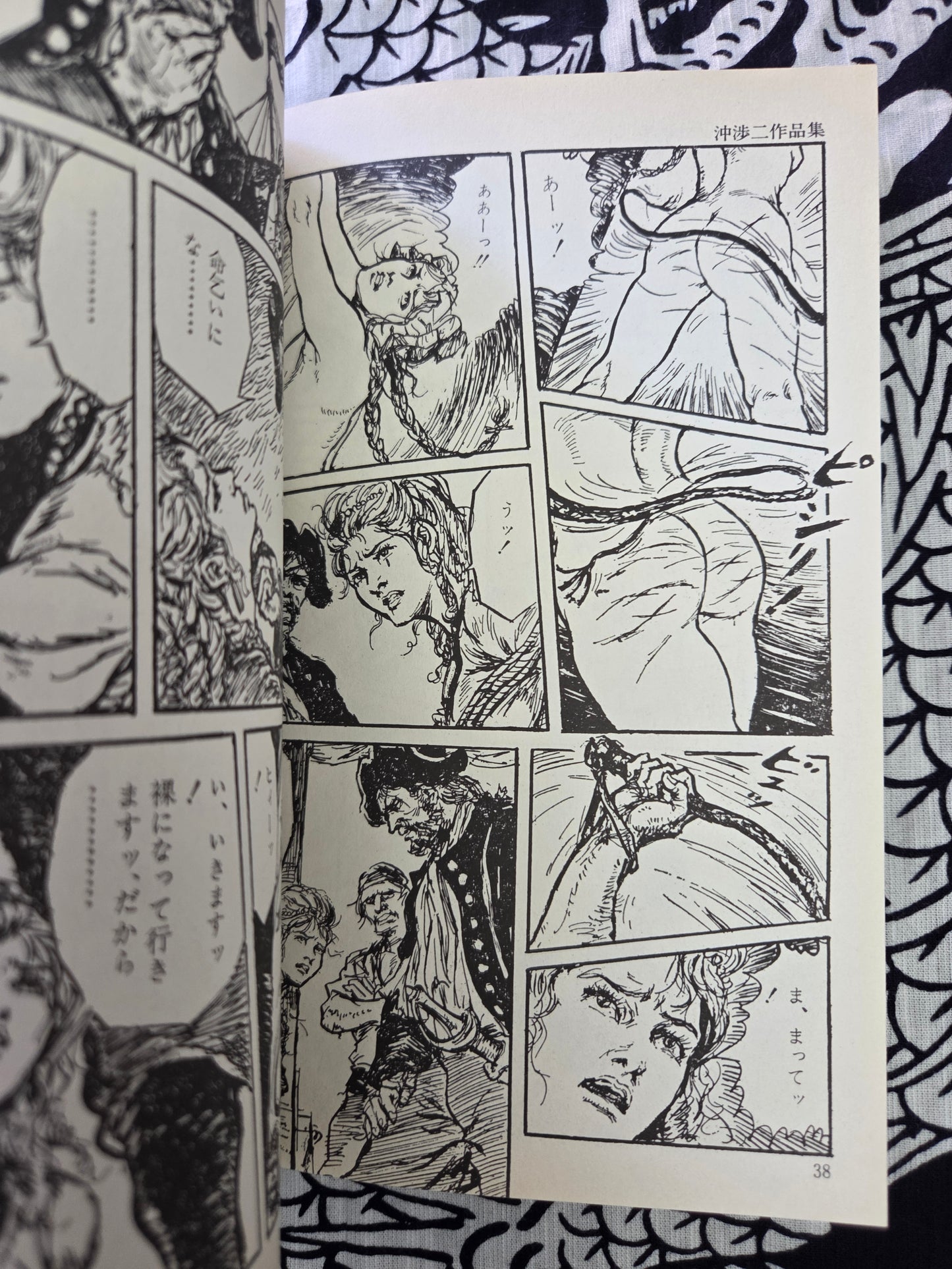 The Treasure Of Baragoodha - Shoji Oki (2000)