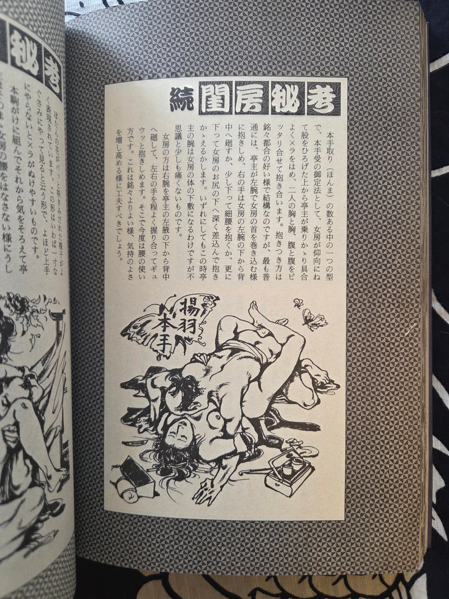 Masterpieces From The Pillow Book Collection - SM Mania Special (1983)