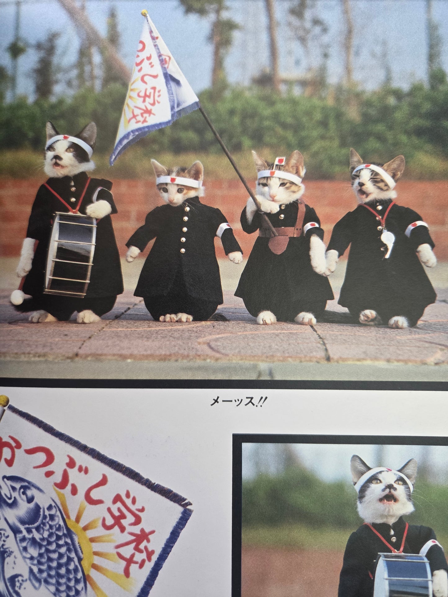 Don't Mess With Me! Namennayo Cats (1981)