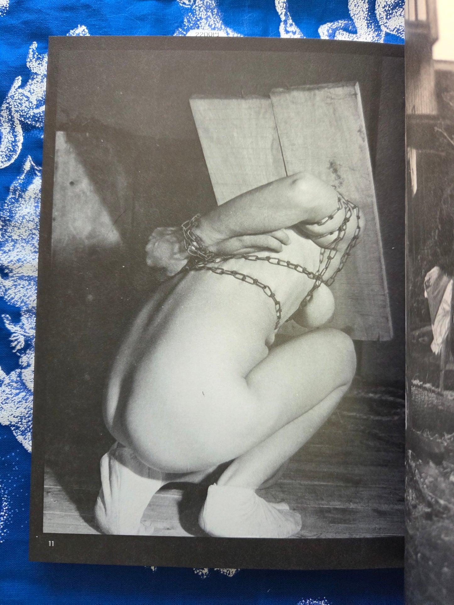 The World Of Seiu Ito Secret Photo Collection (2024)