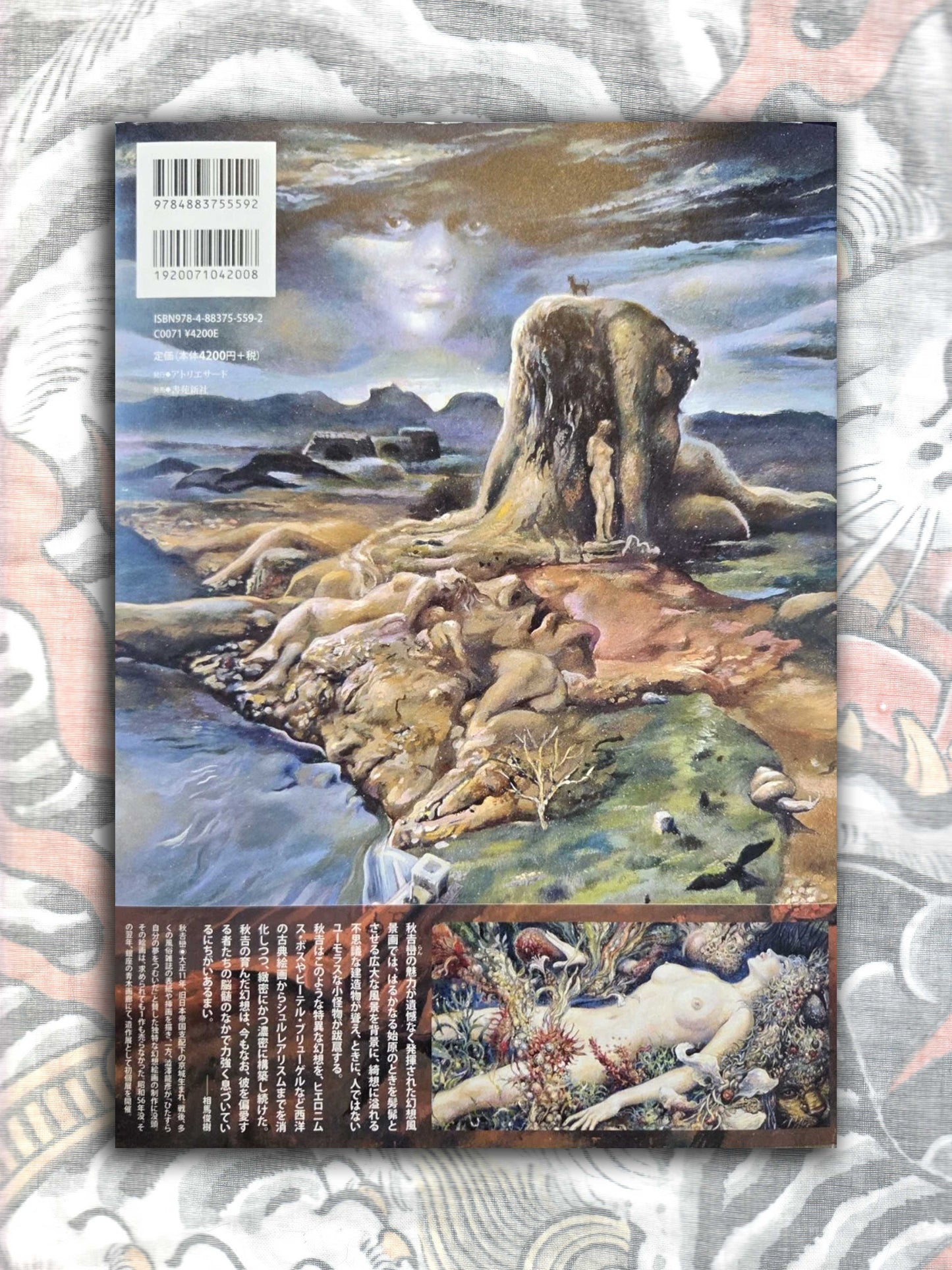 Ran Akiyoshi Illusory Works (2025)