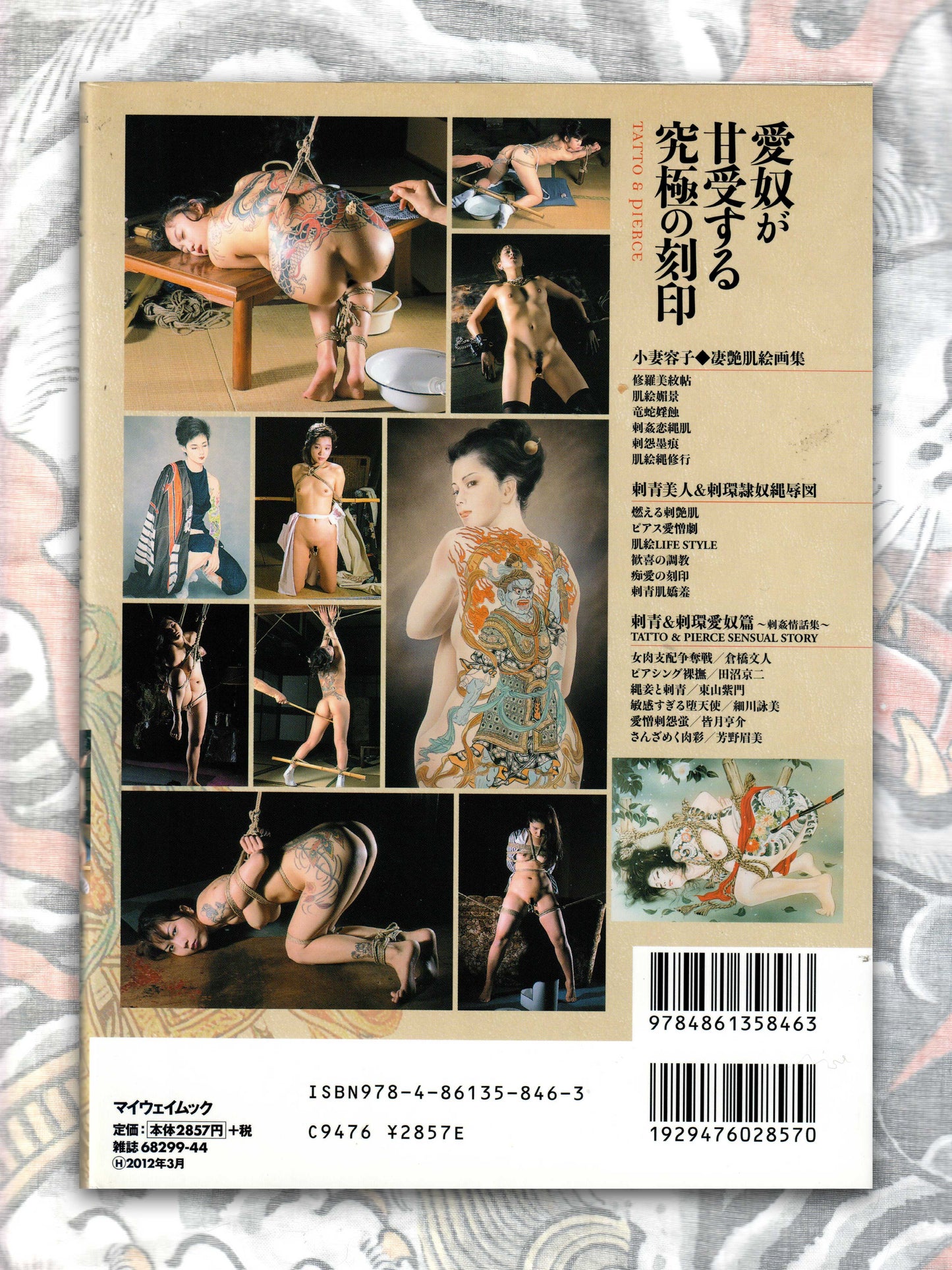 Tattooing & Piercing Eroticism (2011)