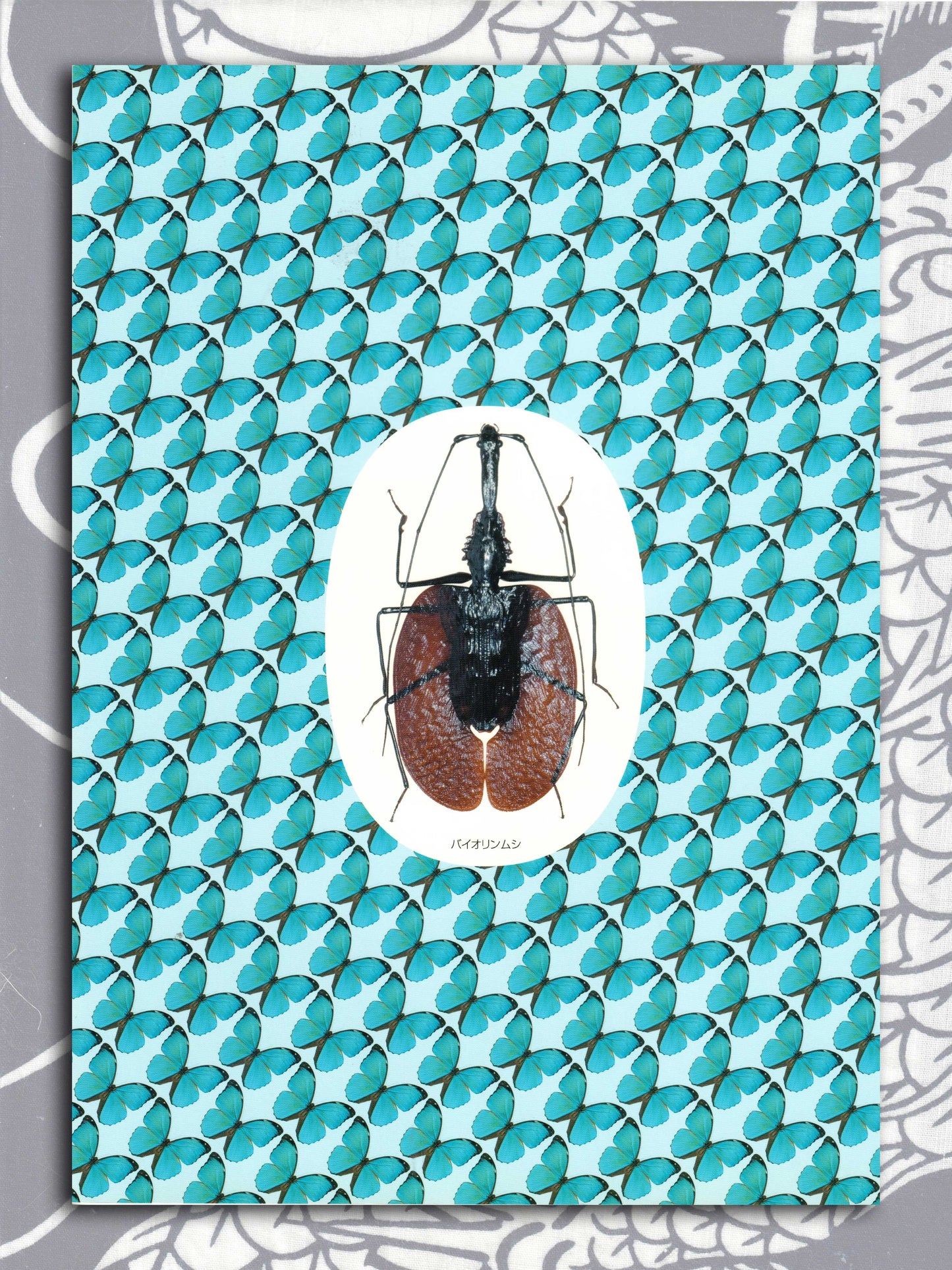 Illustrated World Of Insects Specialty