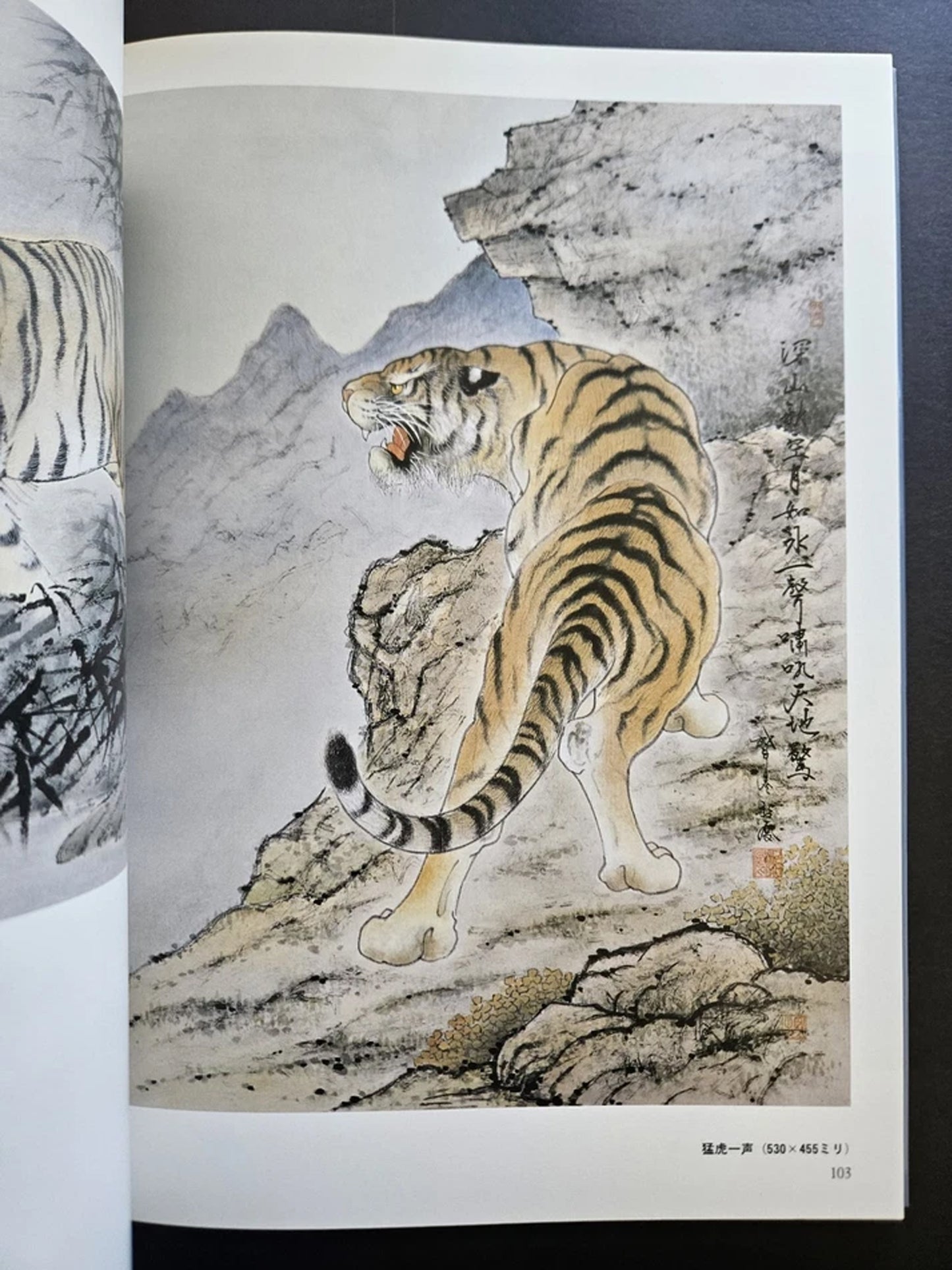 Introduction to Drawing Tigers - Tetsuo Hoshiba (2009)