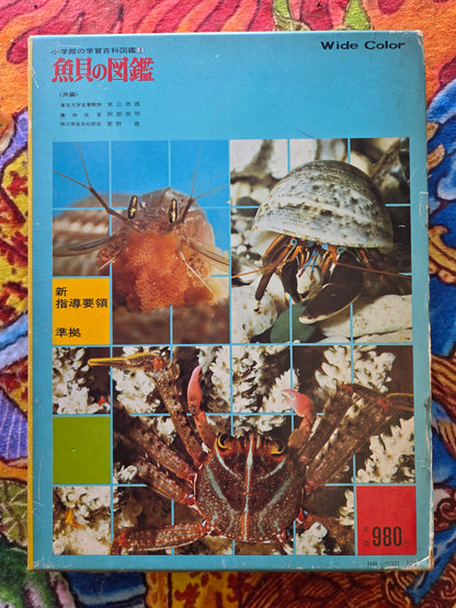 Illustrated Encyclopedia Of Fish And Shellfish (1978)