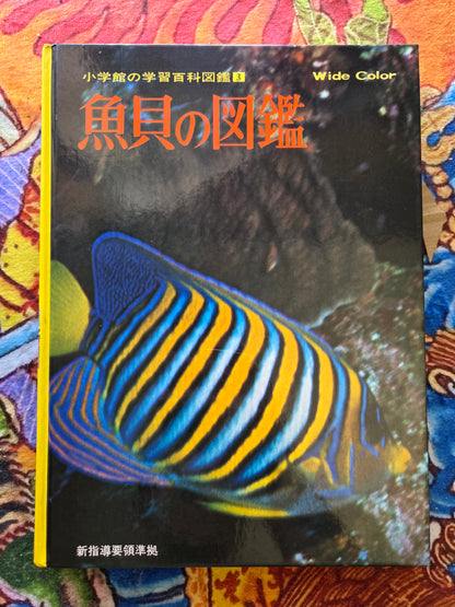 Illustrated Encyclopedia Of Fish And Shellfish (1978)