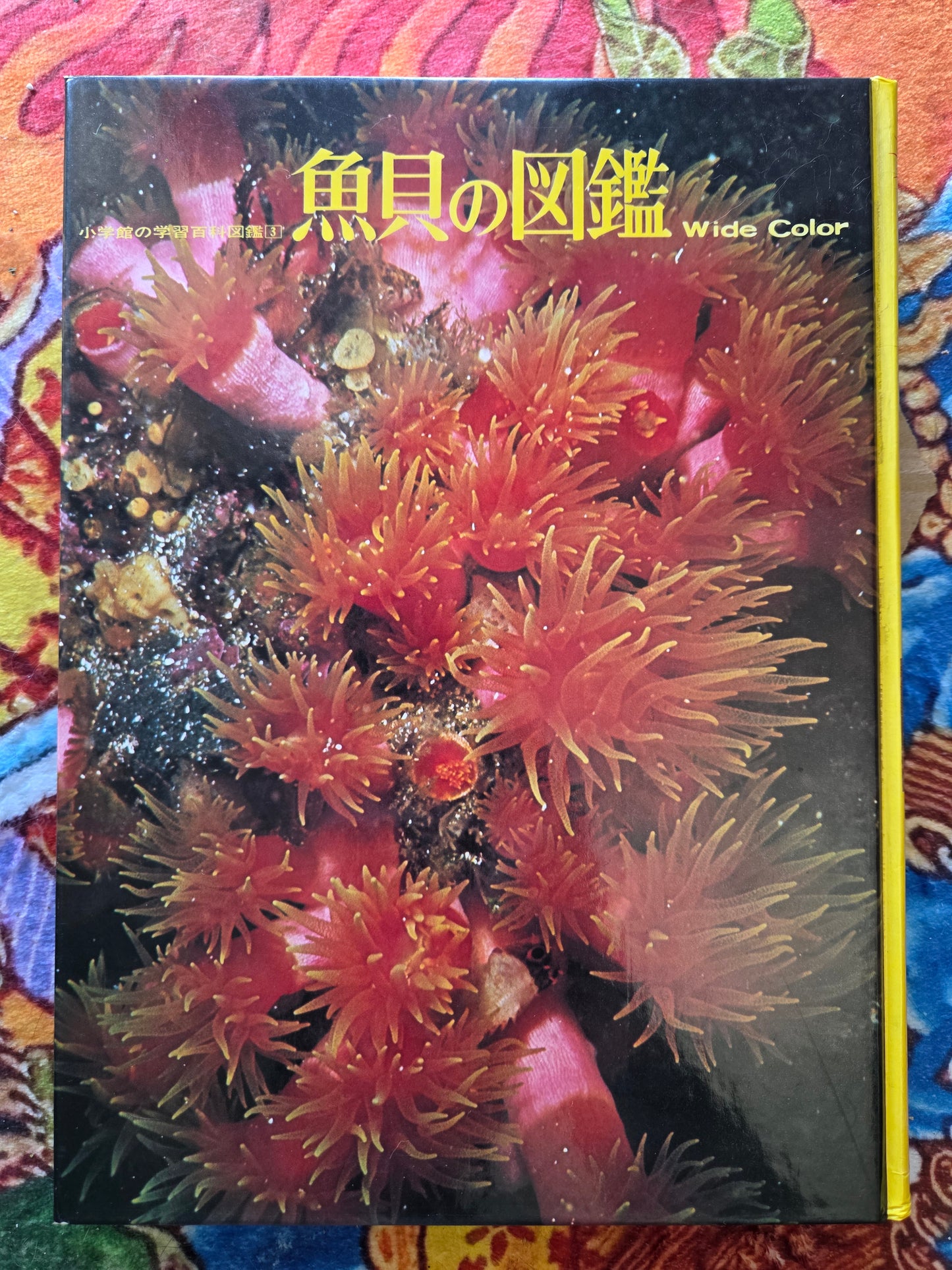 Illustrated Encyclopedia Of Fish And Shellfish (1978)