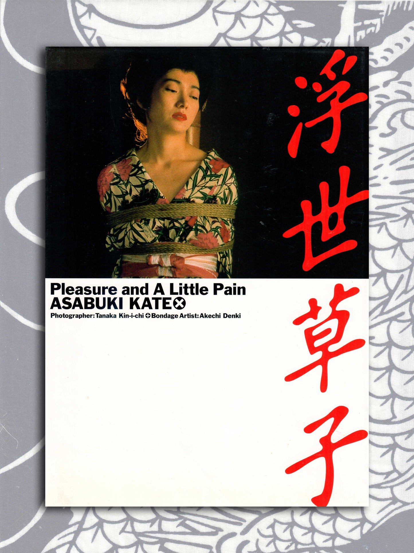 Pleasure And A Little Pain - Kate Asabuki (1995)