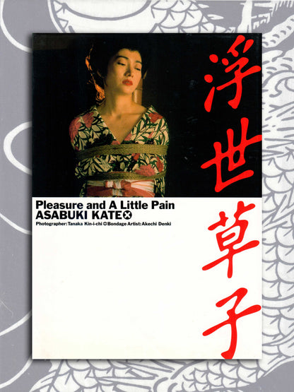 Pleasure And A Little Pain - Kate Asabuki (1995)