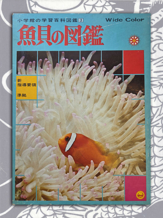Illustrated Encyclopedia Of Fish And Shellfish (1978)