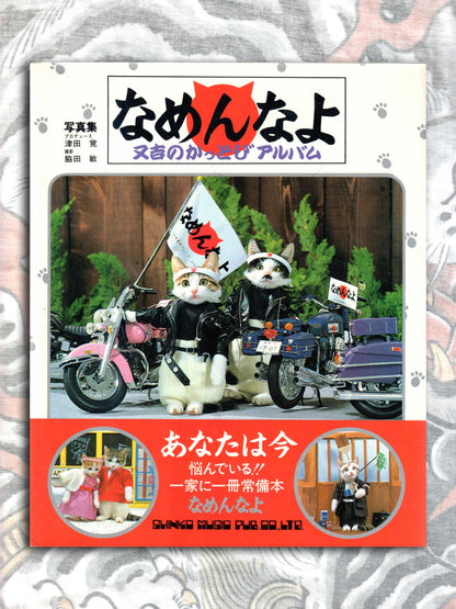 Don't Mess With Me! Namennayo Cats (1981)