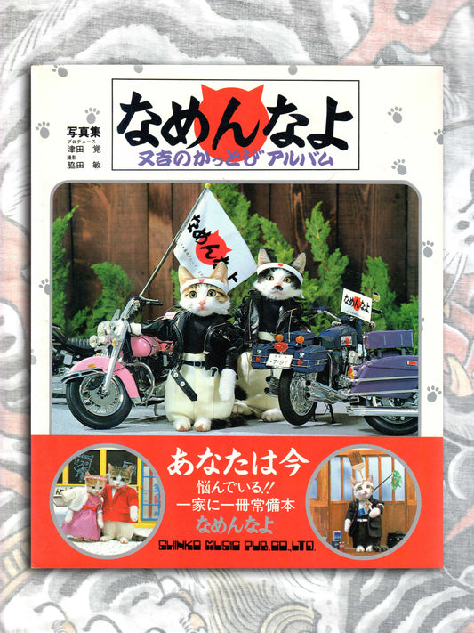 Don't Mess With Me! Namennayo Cats (1981)