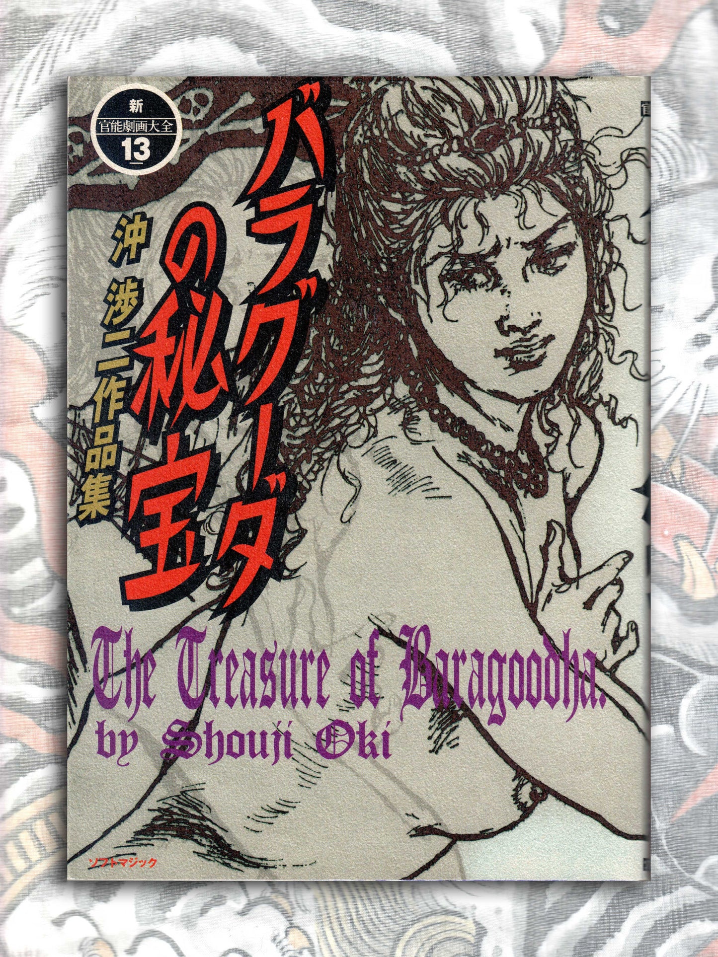 The Treasure Of Baragoodha - Shoji Oki (2000)