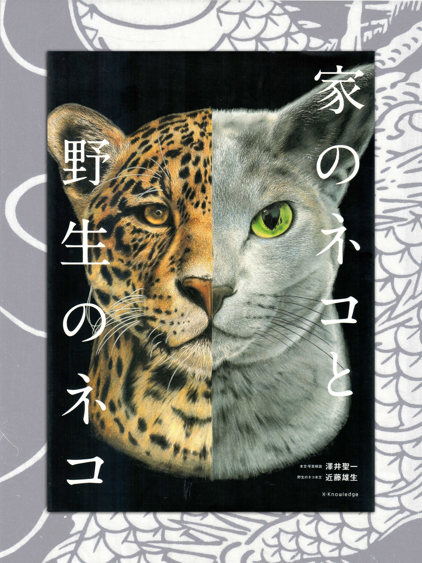 Seiichi Sawai & Yuo Kondo - House Cats and Wild Cats of the World (2019)
