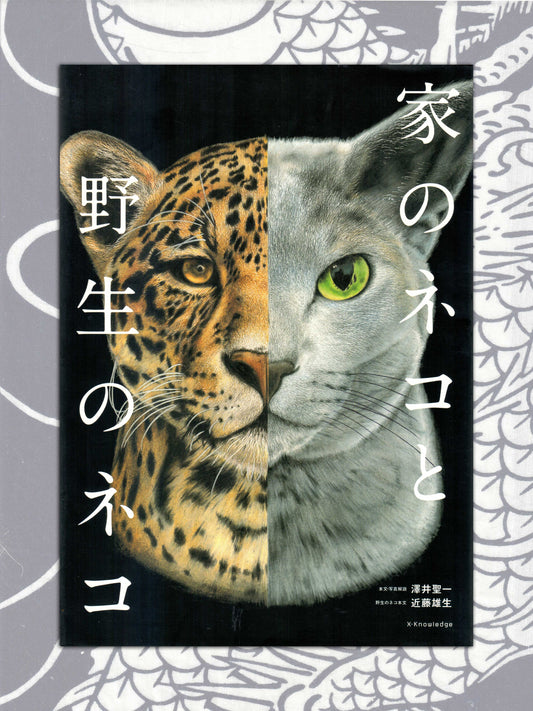 Seiichi Sawai & Yuo Kondo - House Cats and Wild Cats of the World (2019)