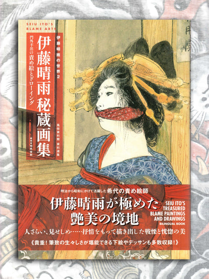 Seiu Ito's Treasured Blame Paintings & Drawings (2024)