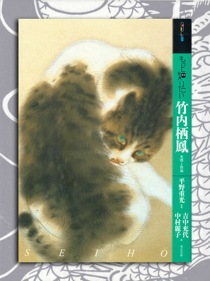 I Want To Know More About Takeuchi Seiho (2013)