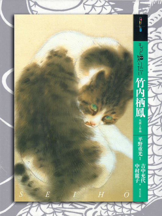 I Want To Know More About Takeuchi Seiho (2013)