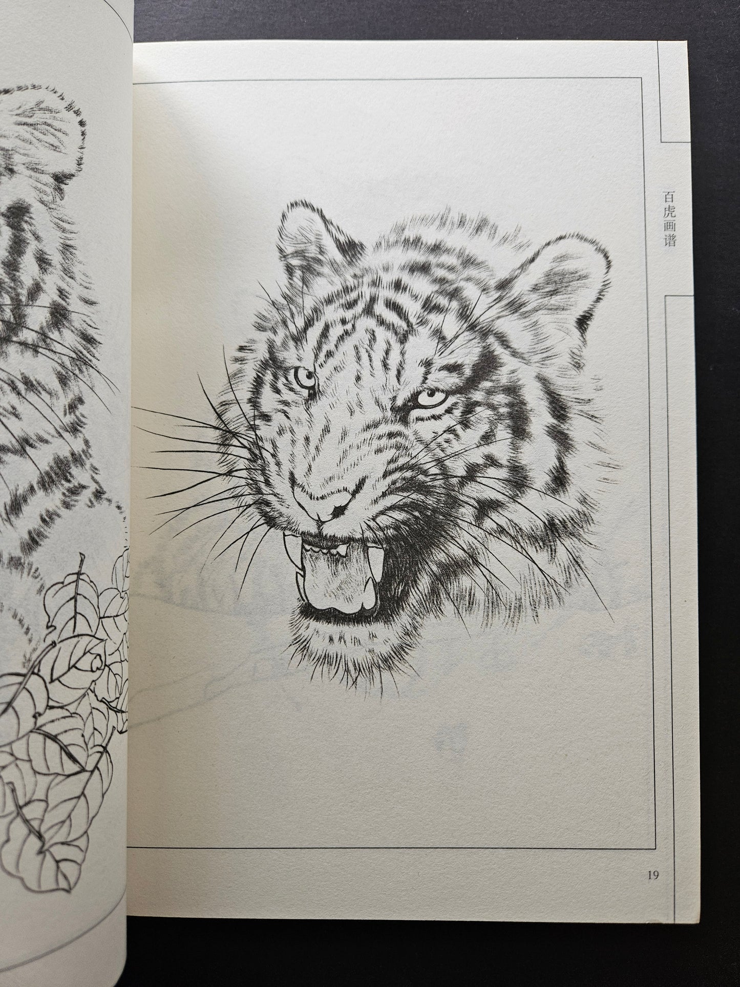 One Hundred Tigers - Chinese Drawing Study