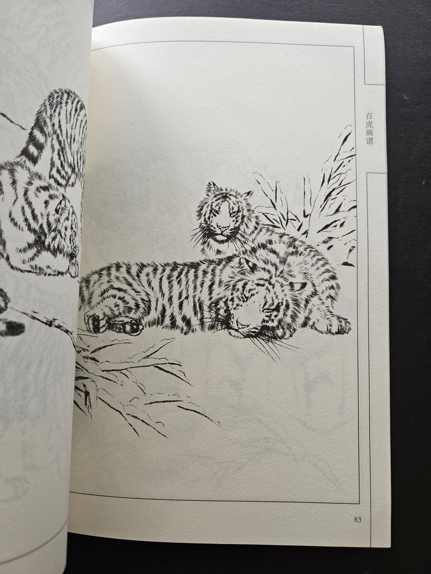 One Hundred Tigers - Chinese Drawing Study